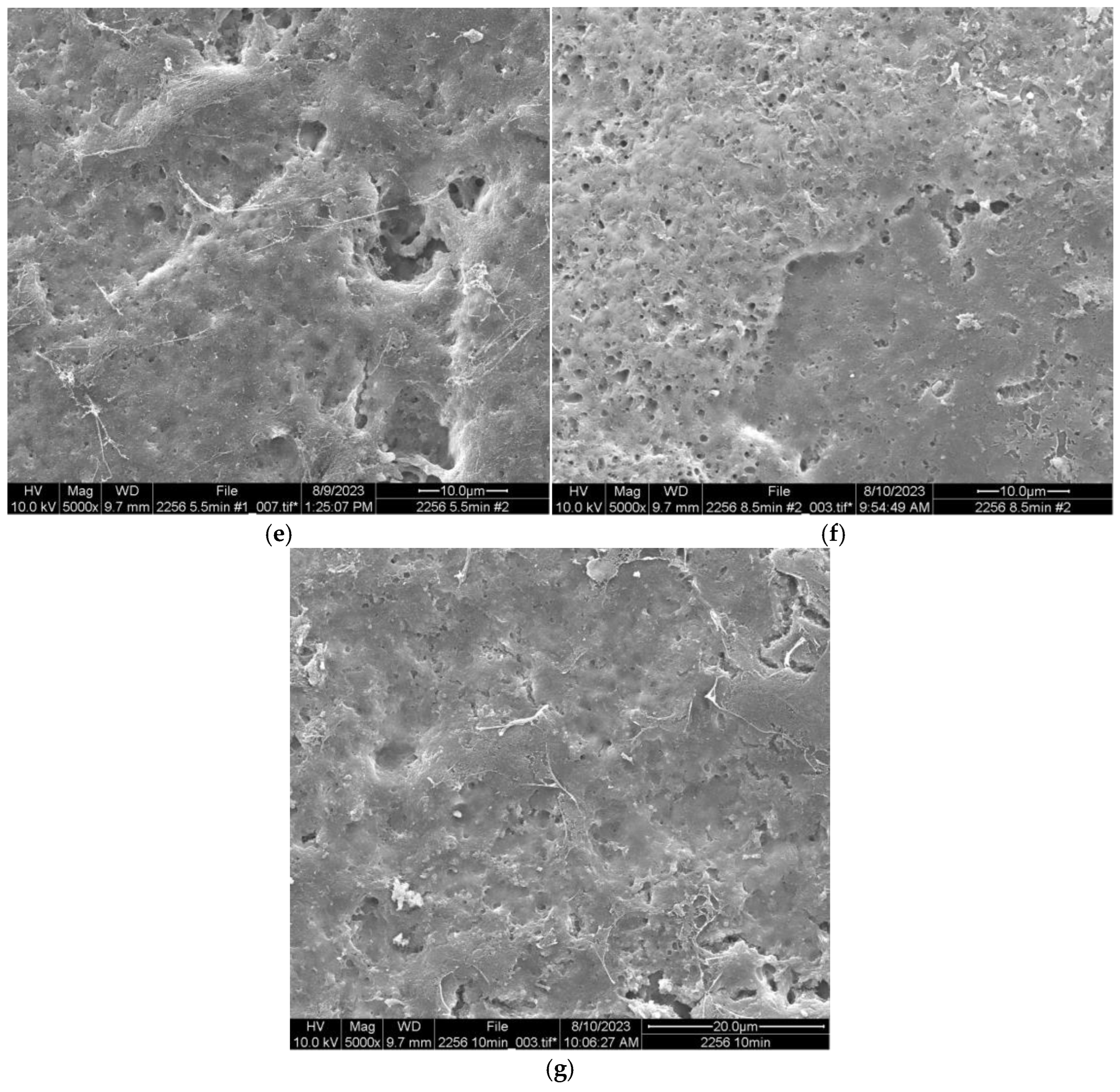 Foods 13 03457 g004b