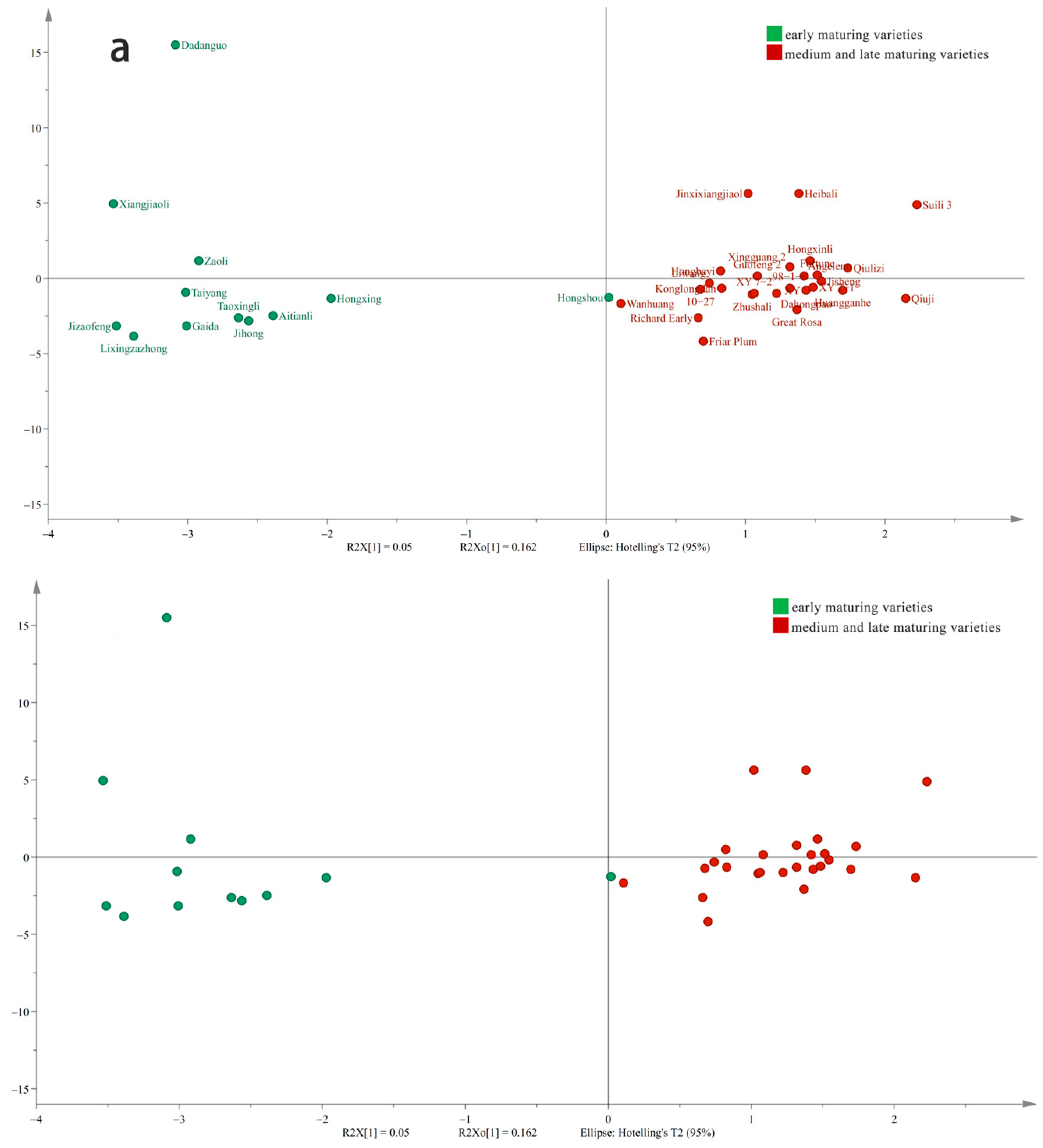 Foods 13 03515 g003a