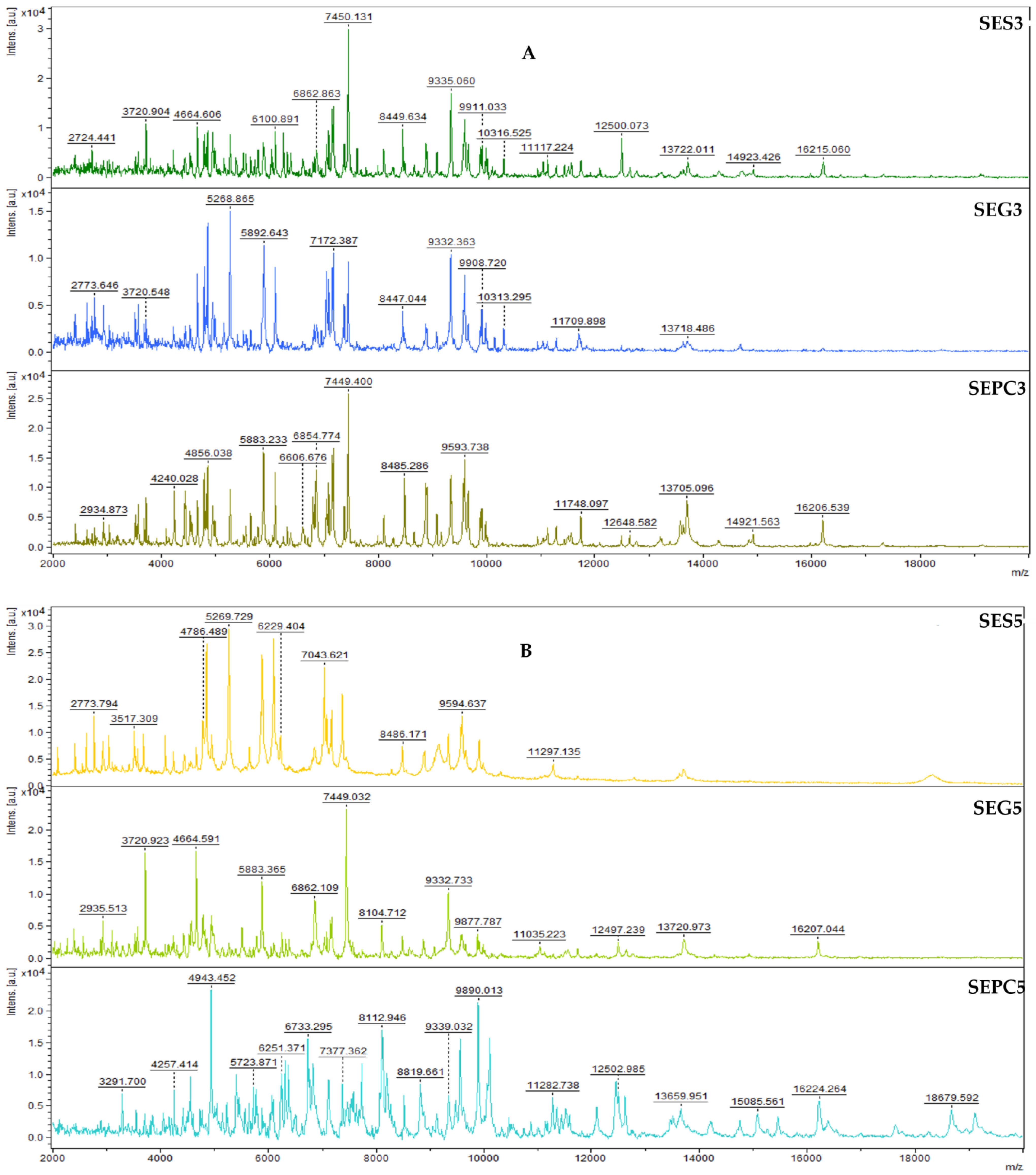 Foods 13 03579 g003a