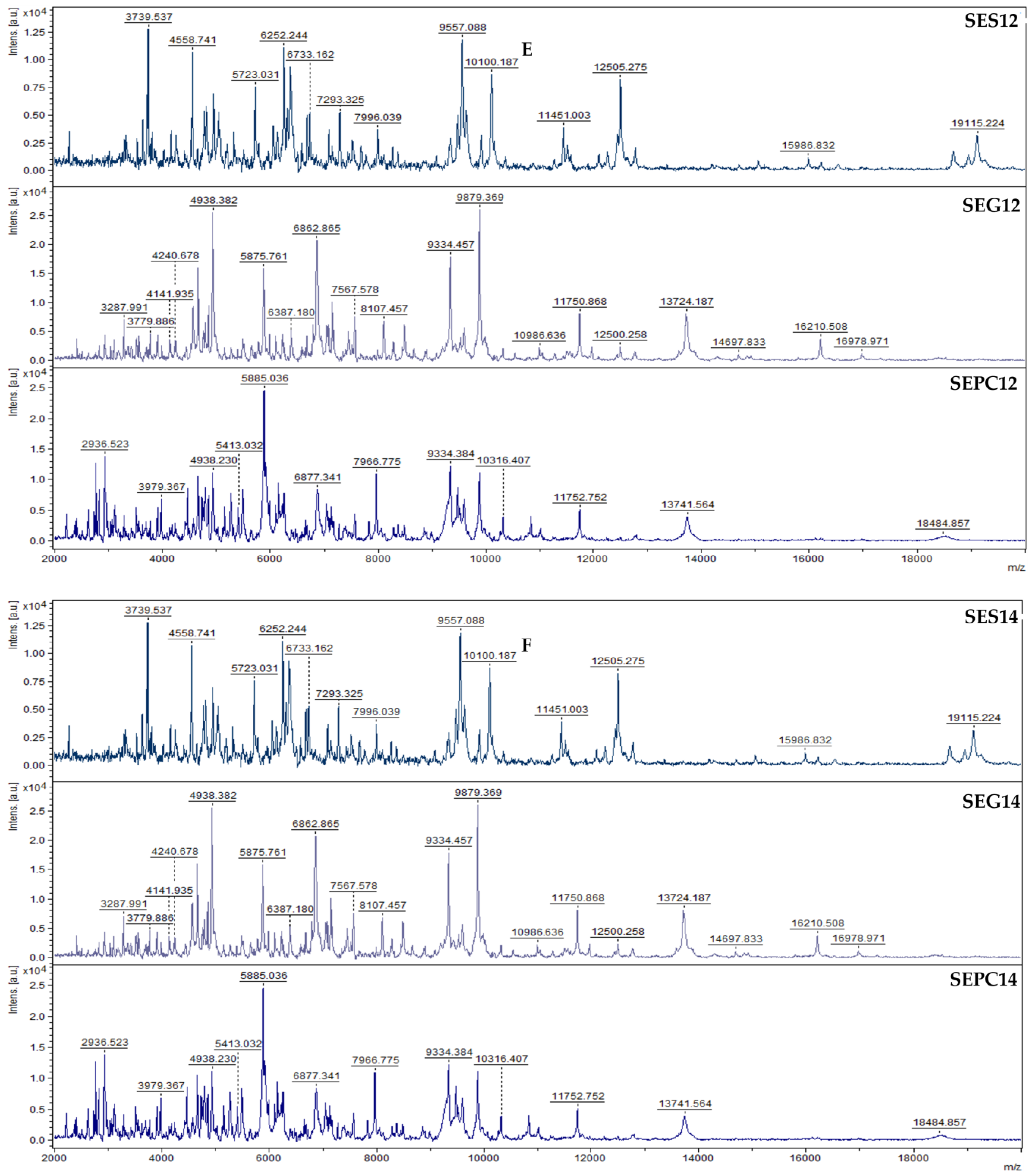 Foods 13 03579 g003c