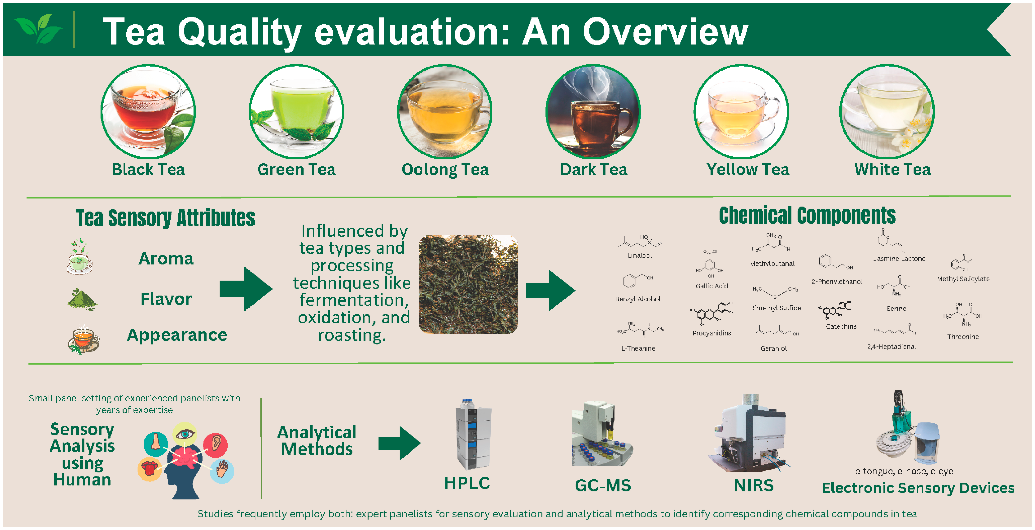 Tea Quality: An Overview of the Analytical Methods and Sensory Analyses ...