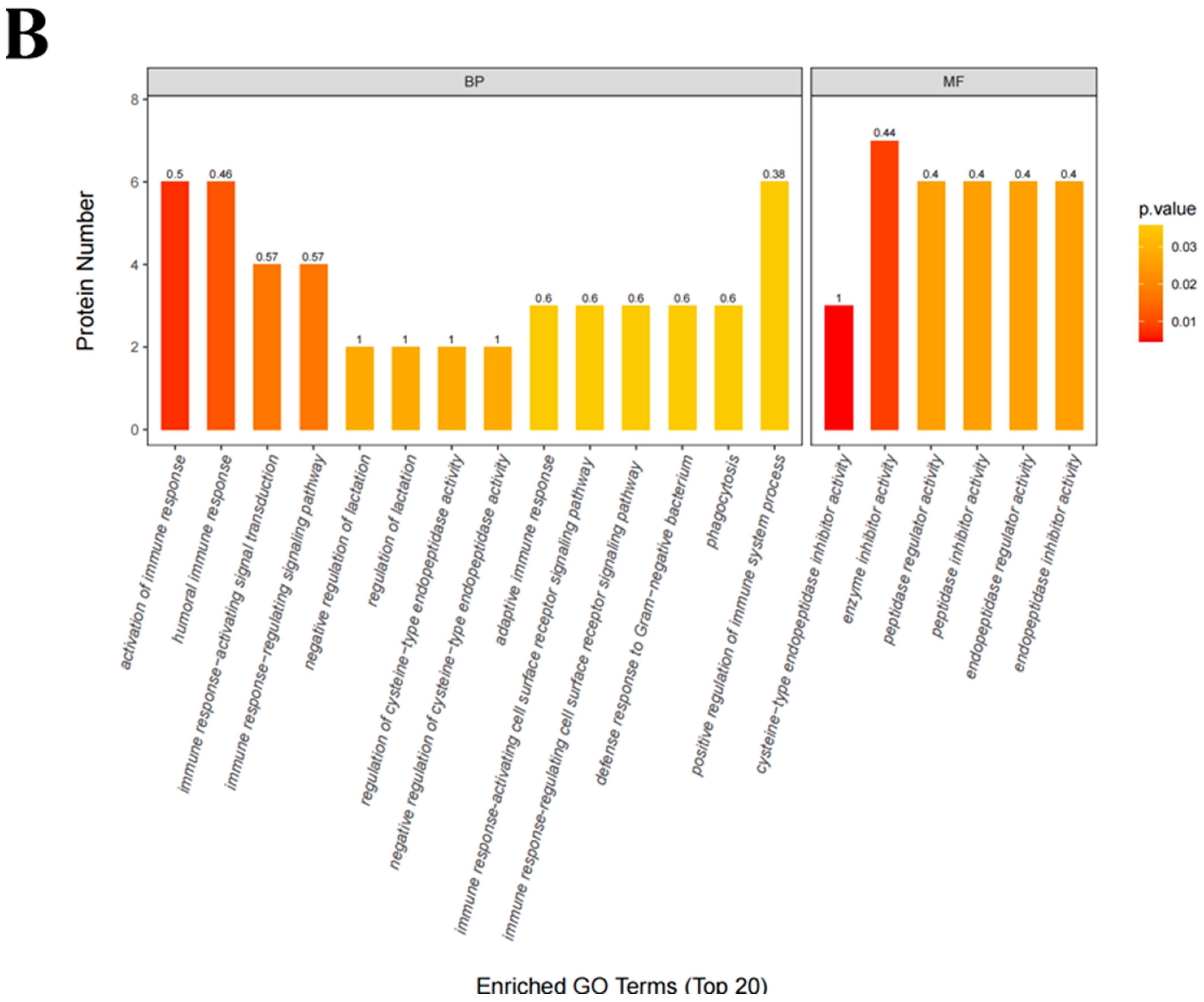 Foods 13 03592 g005b Foods 13 03592 g005b
