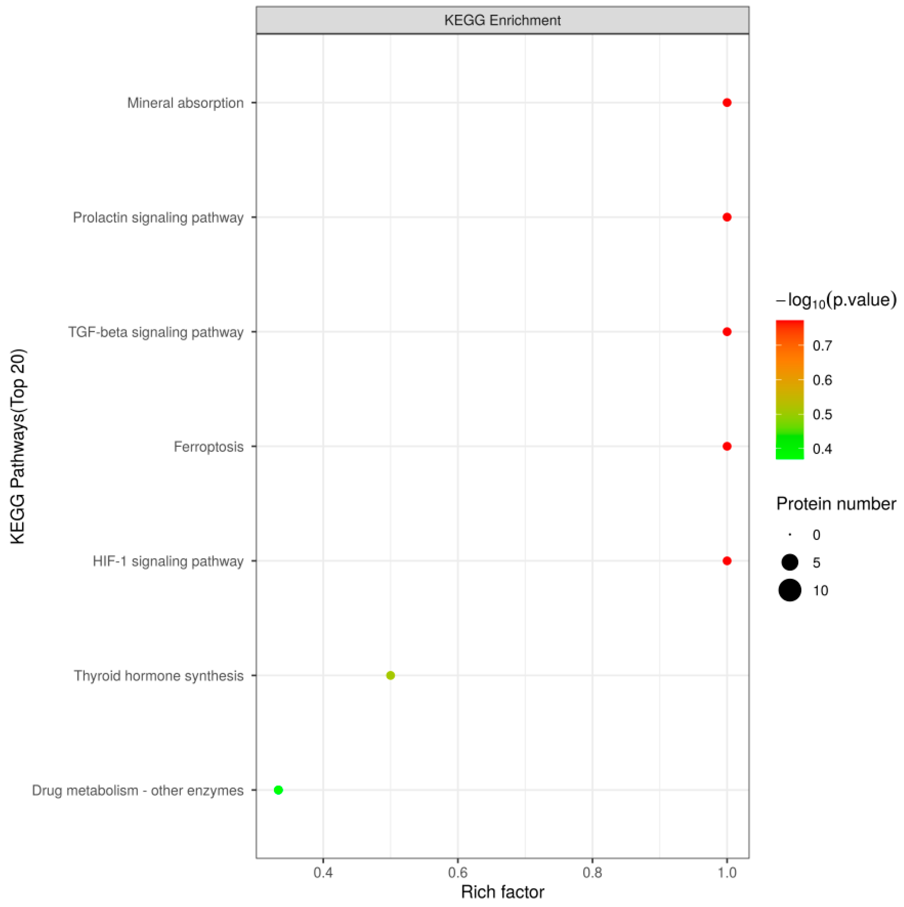 Foods 13 03592 g009 Foods 13 03592 g009