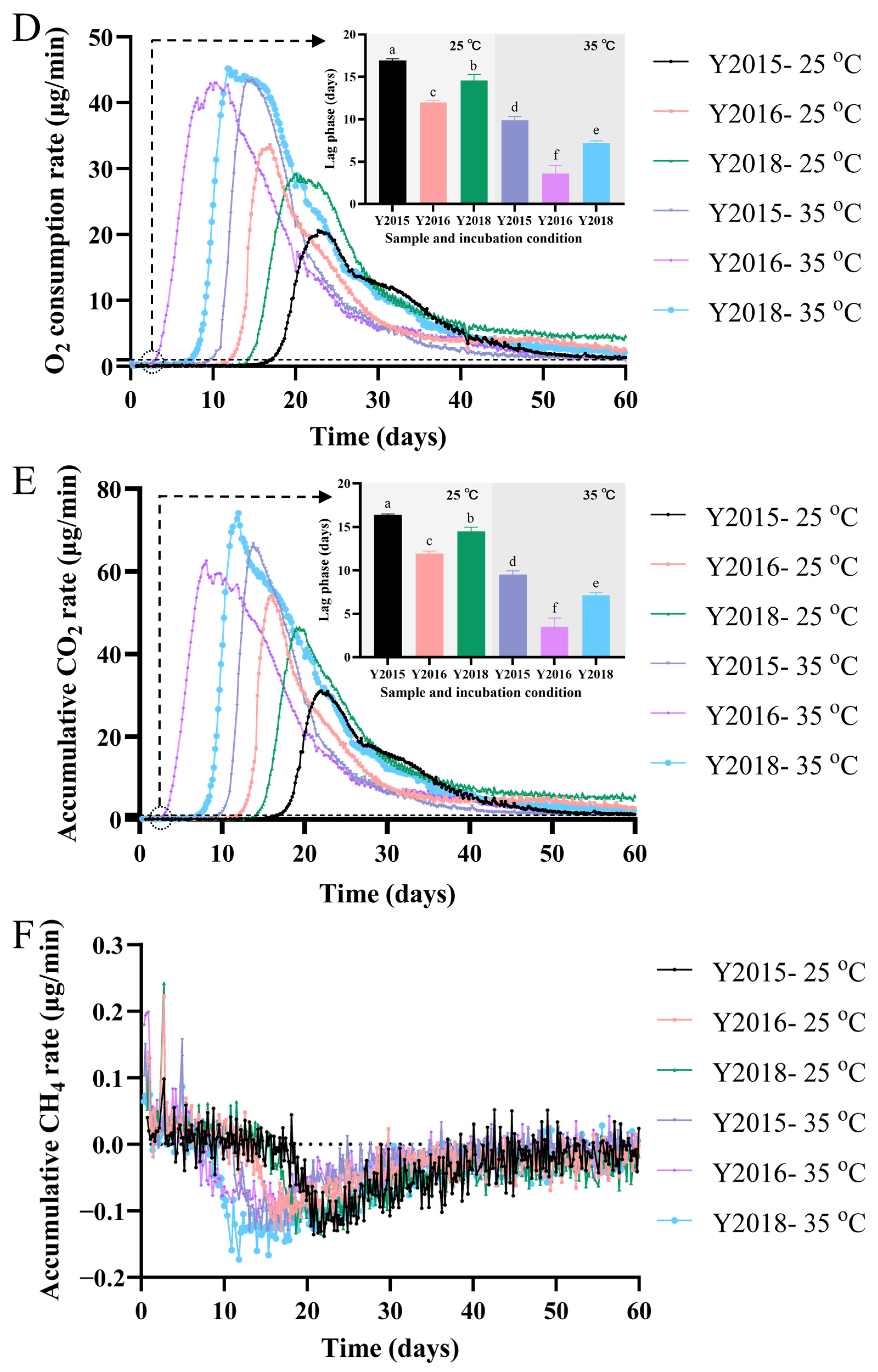 Foods 13 03671 g002b
