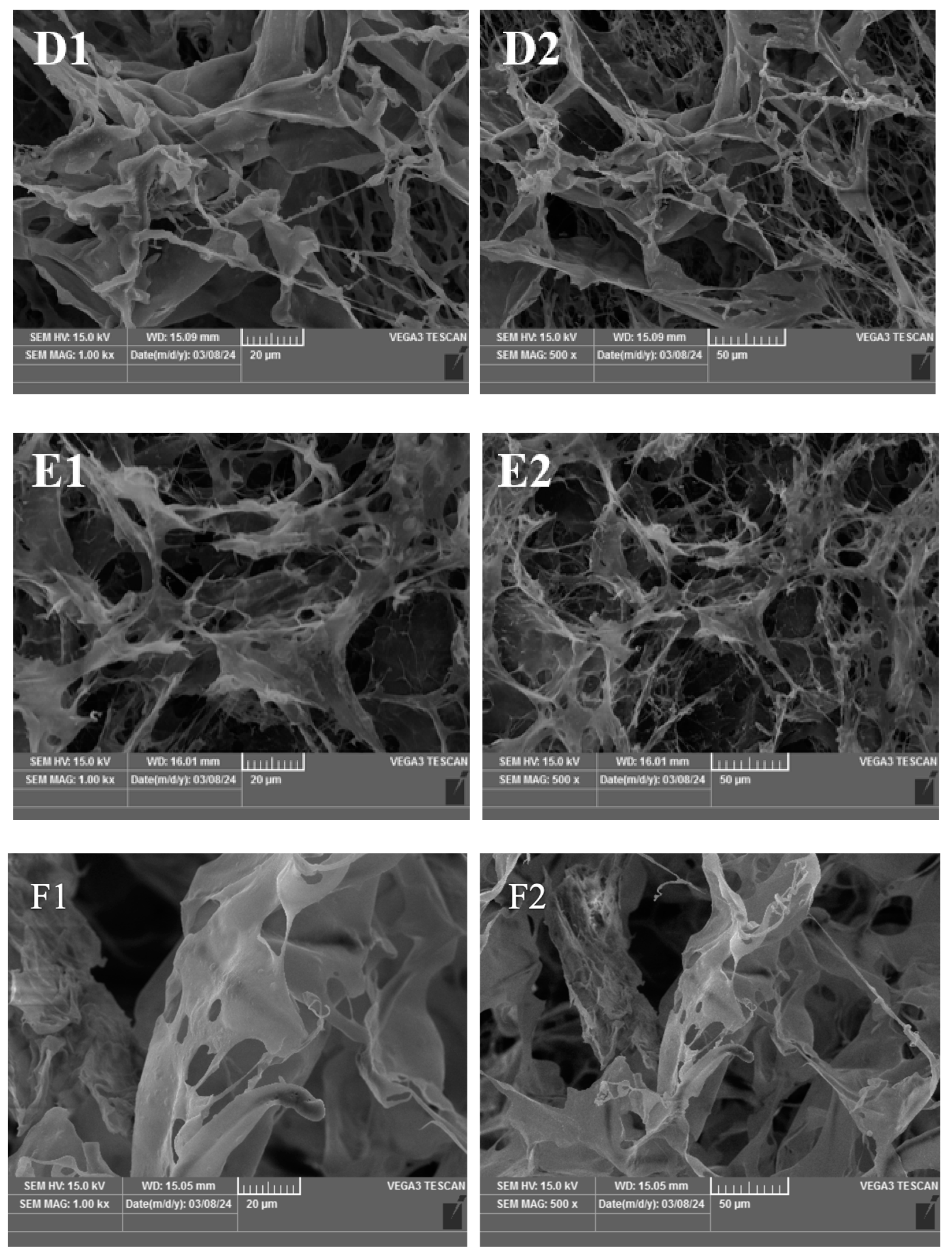 Foods 13 03682 g002b