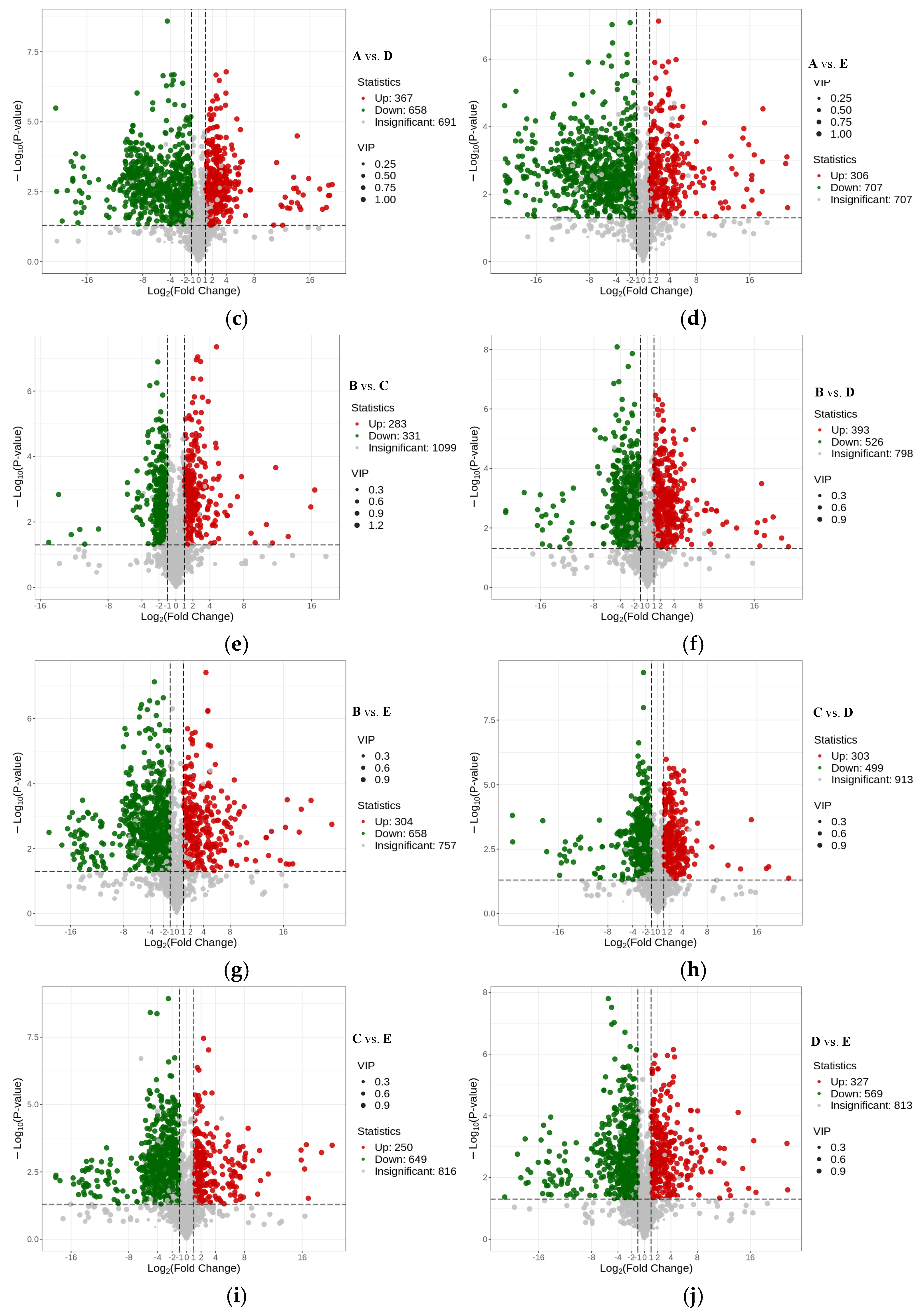 Foods 13 03698 g004b