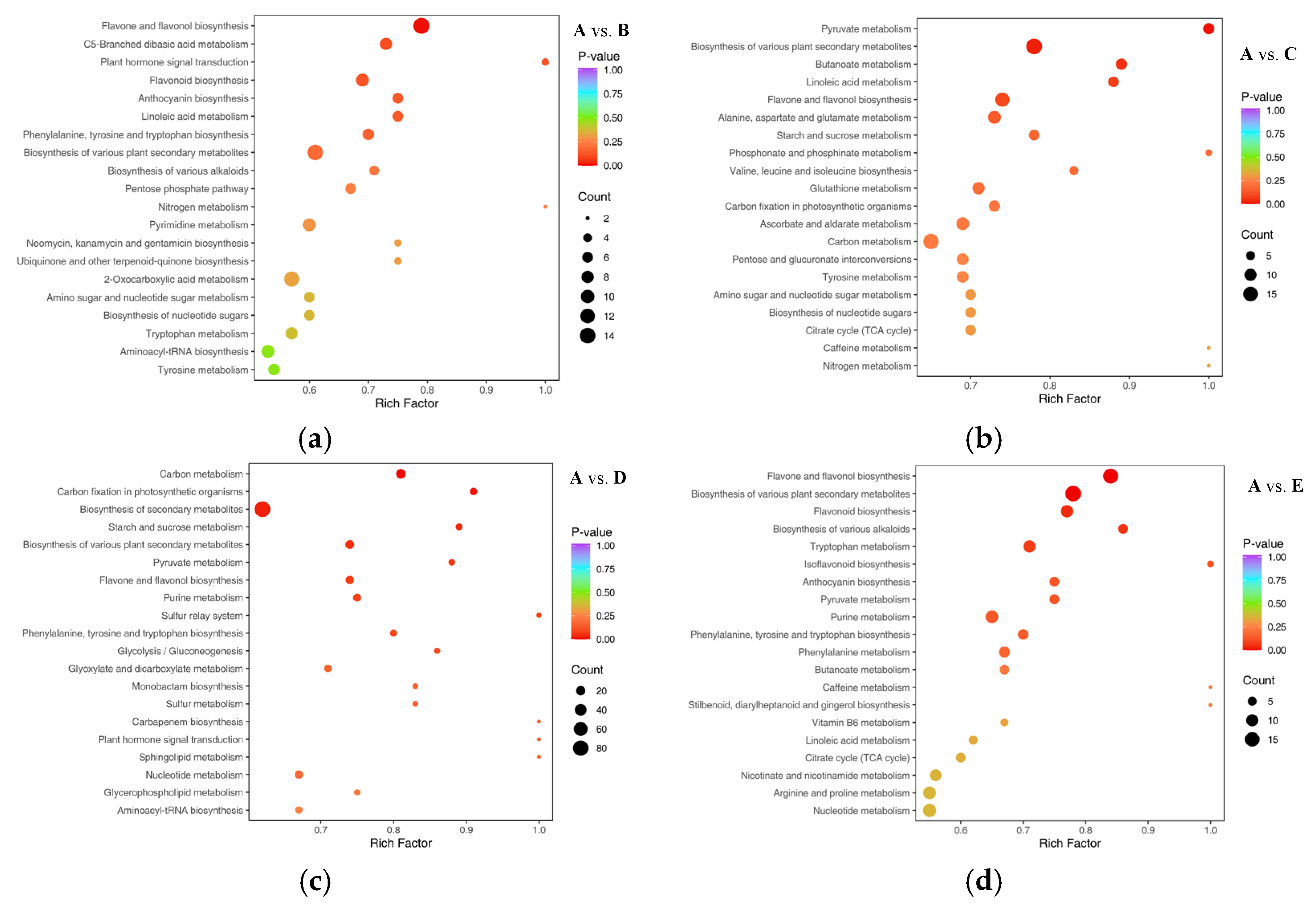 Foods 13 03698 g006a