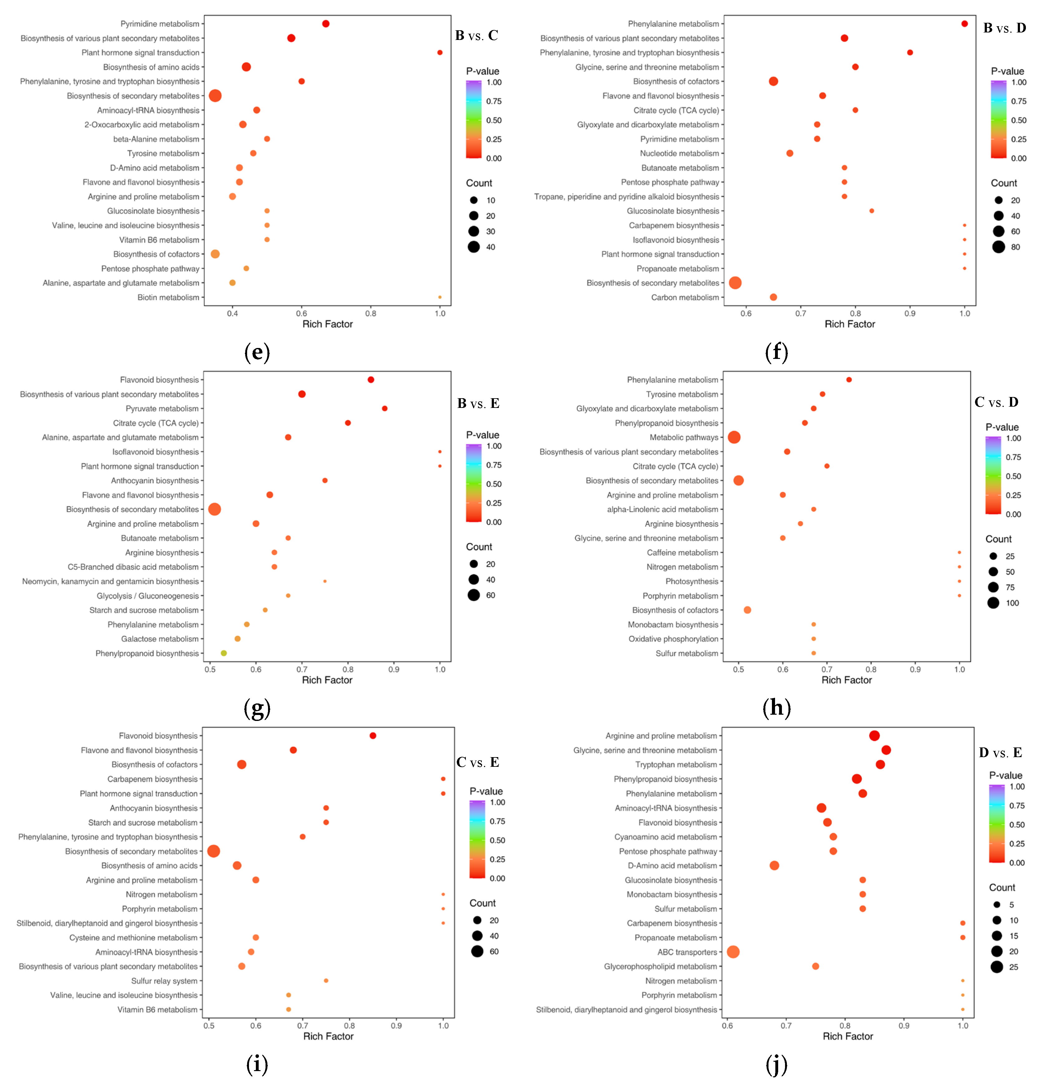 Foods 13 03698 g006b