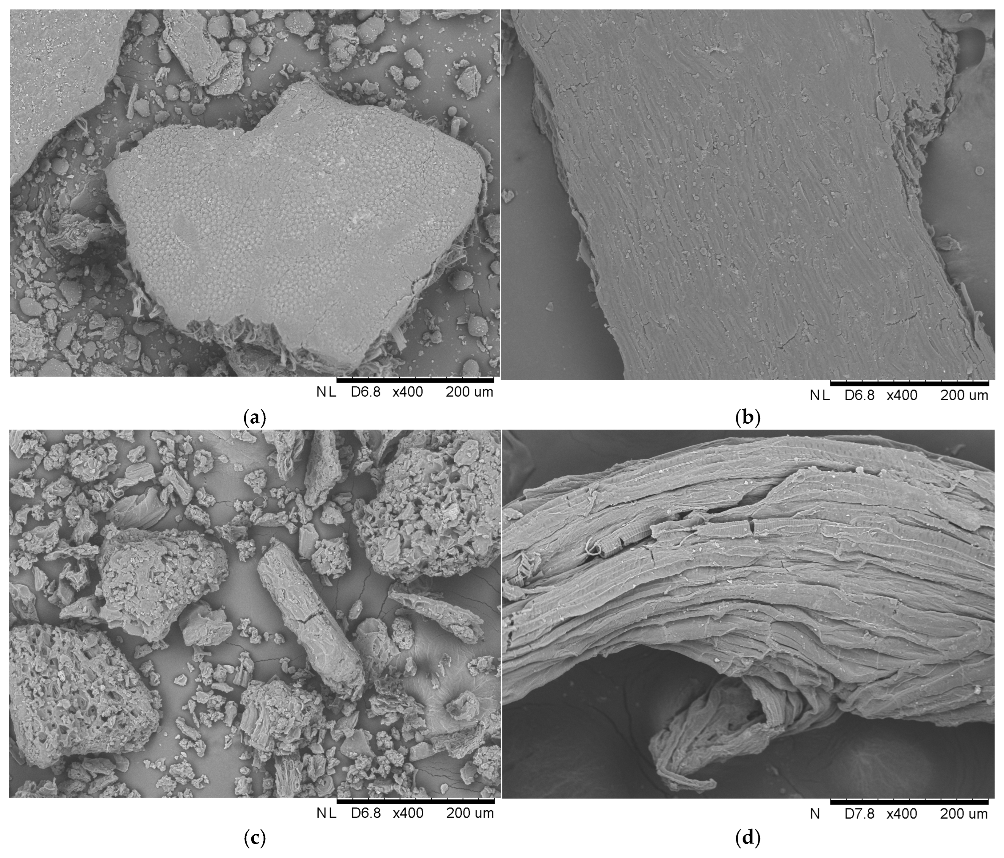 Foods 13 03759 g002a