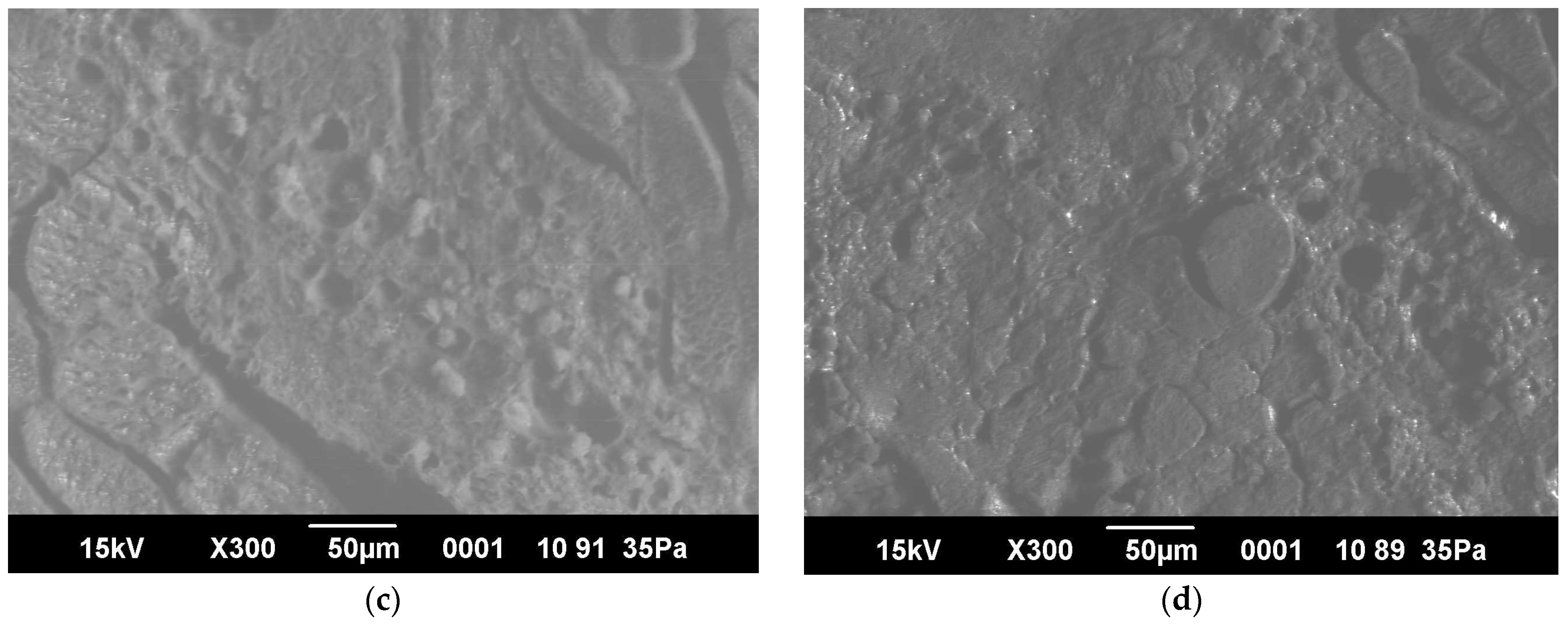 Foods 13 03849 g006b