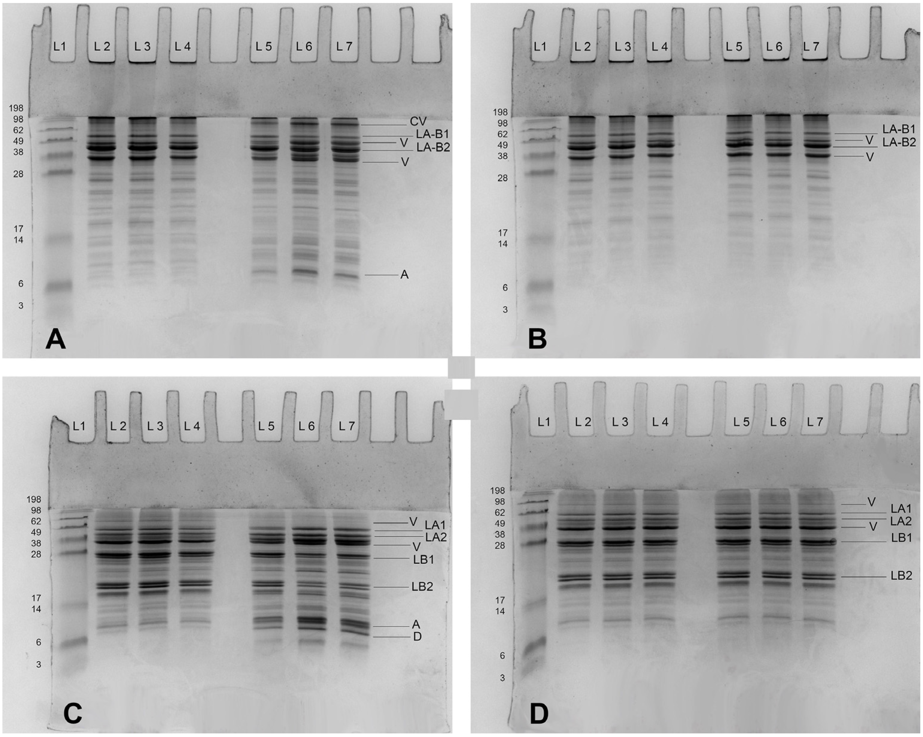 Foods 13 03857 g007 Foods 13 03857 g007