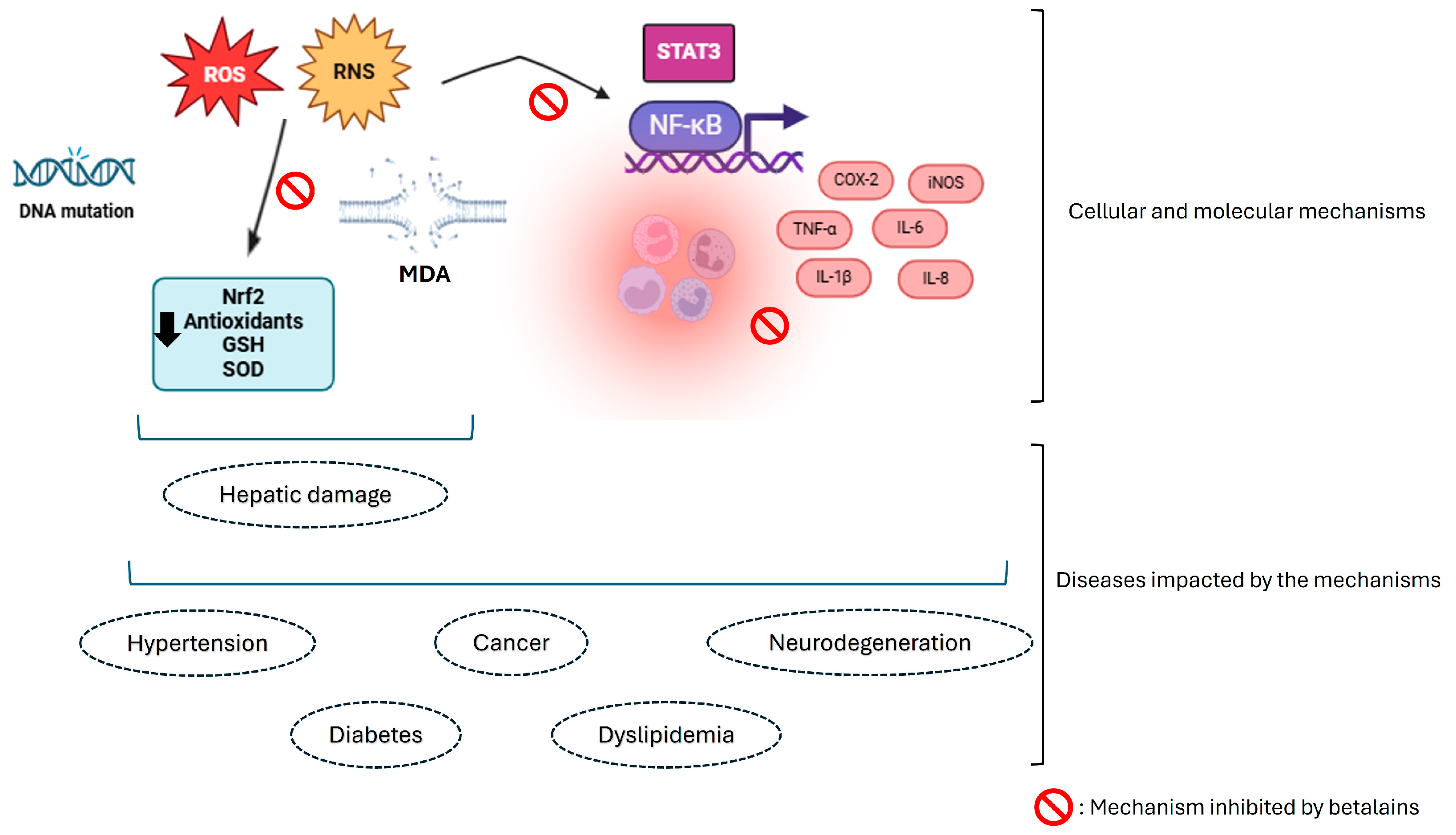 Foods 13 03909 g002 Foods 13 03909 g002