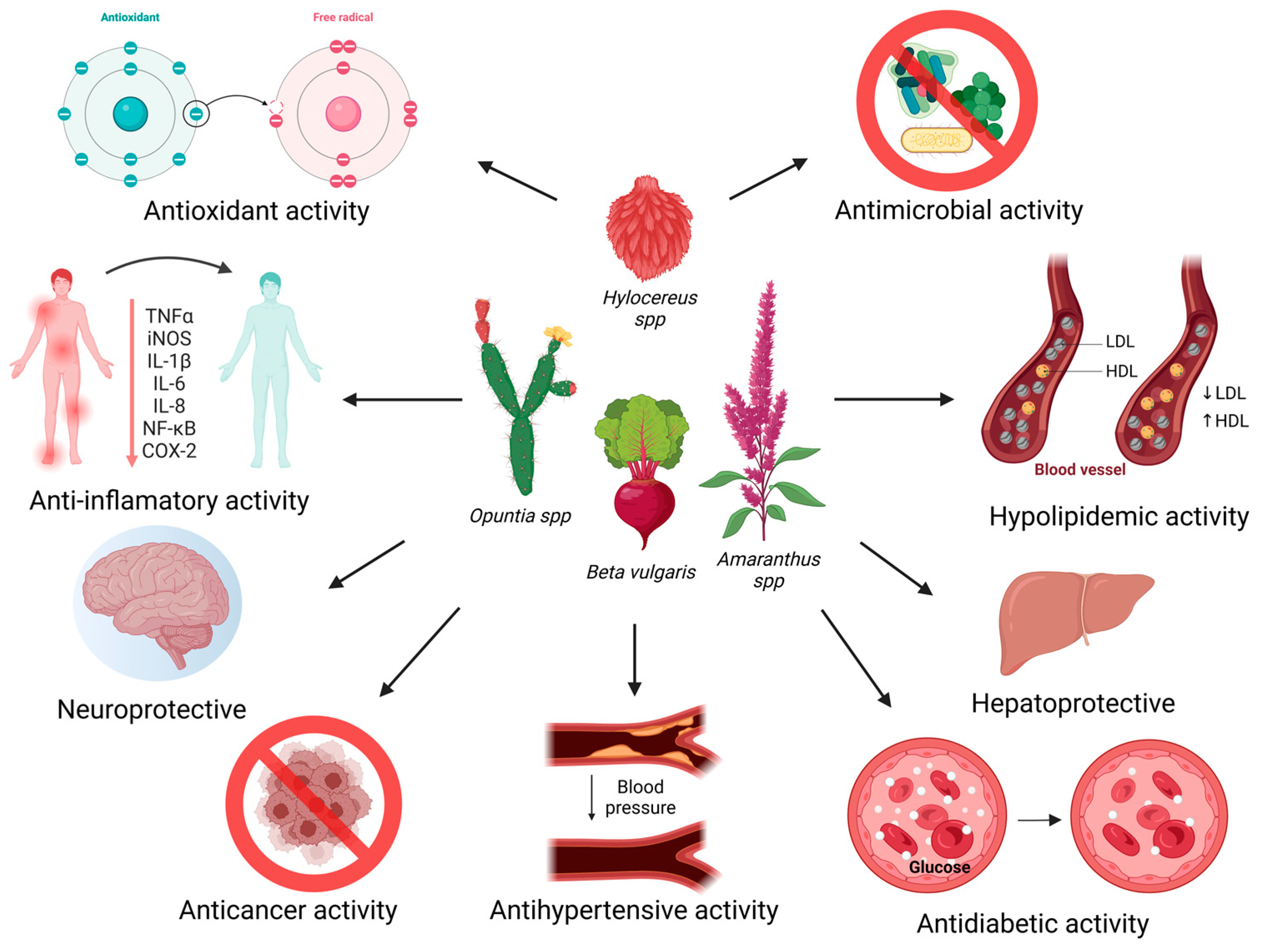 Foods 13 03909 g003 Foods 13 03909 g003