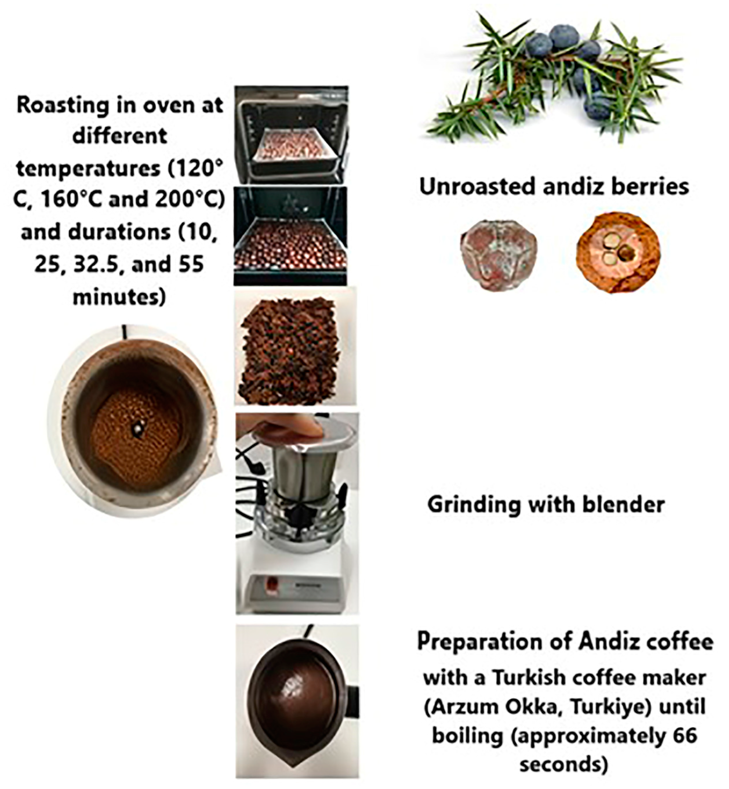 Foods 13 03946 g001 Foods 13 03946 g001