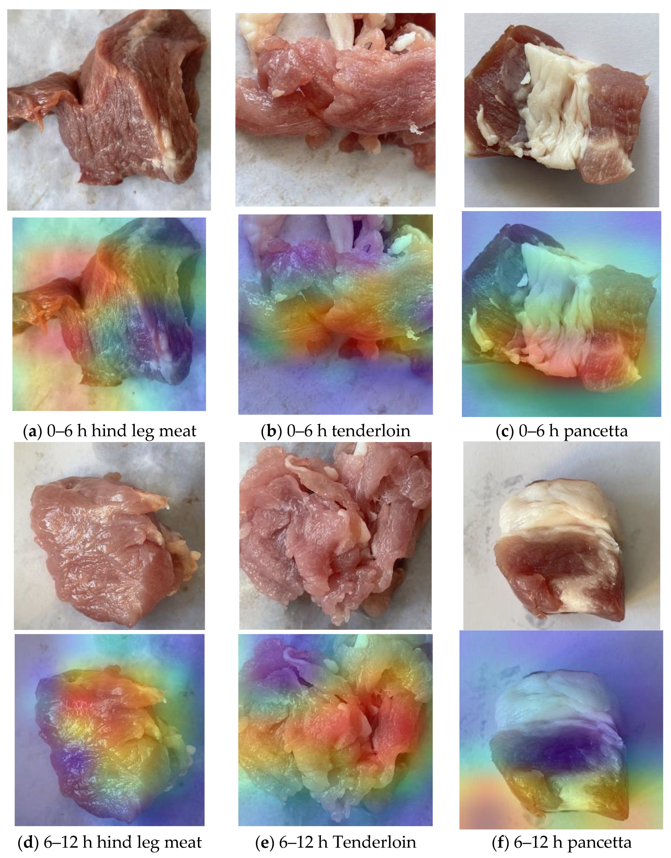 Foods 13 03986 g016a