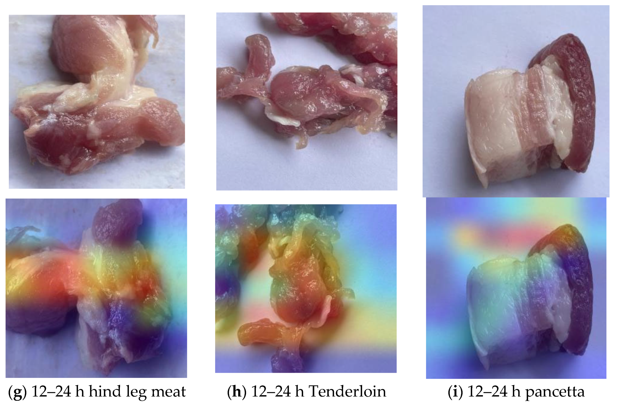 Foods 13 03986 g016b