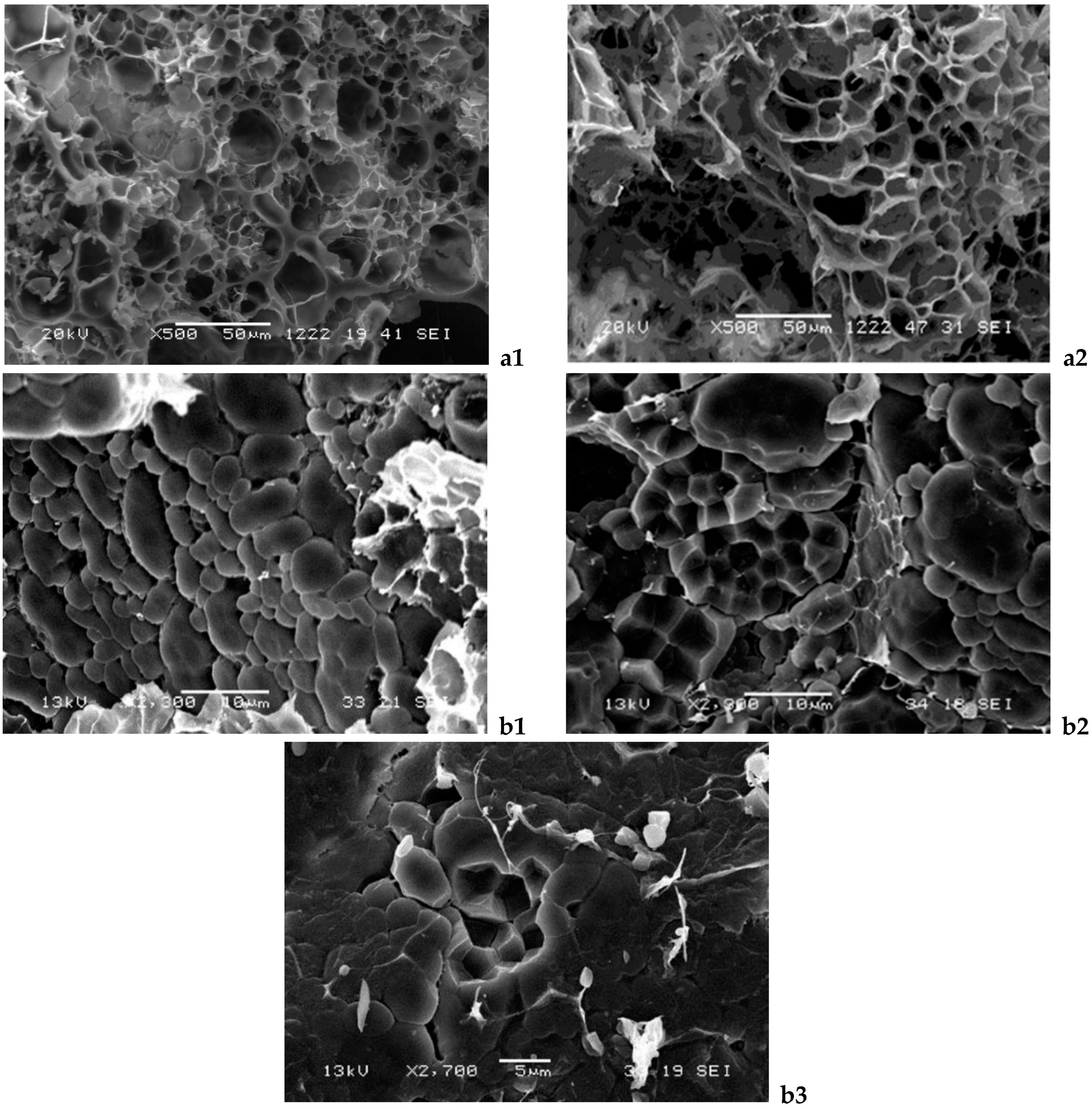 Foods 13 04052 g002 Foods 13 04052 g002