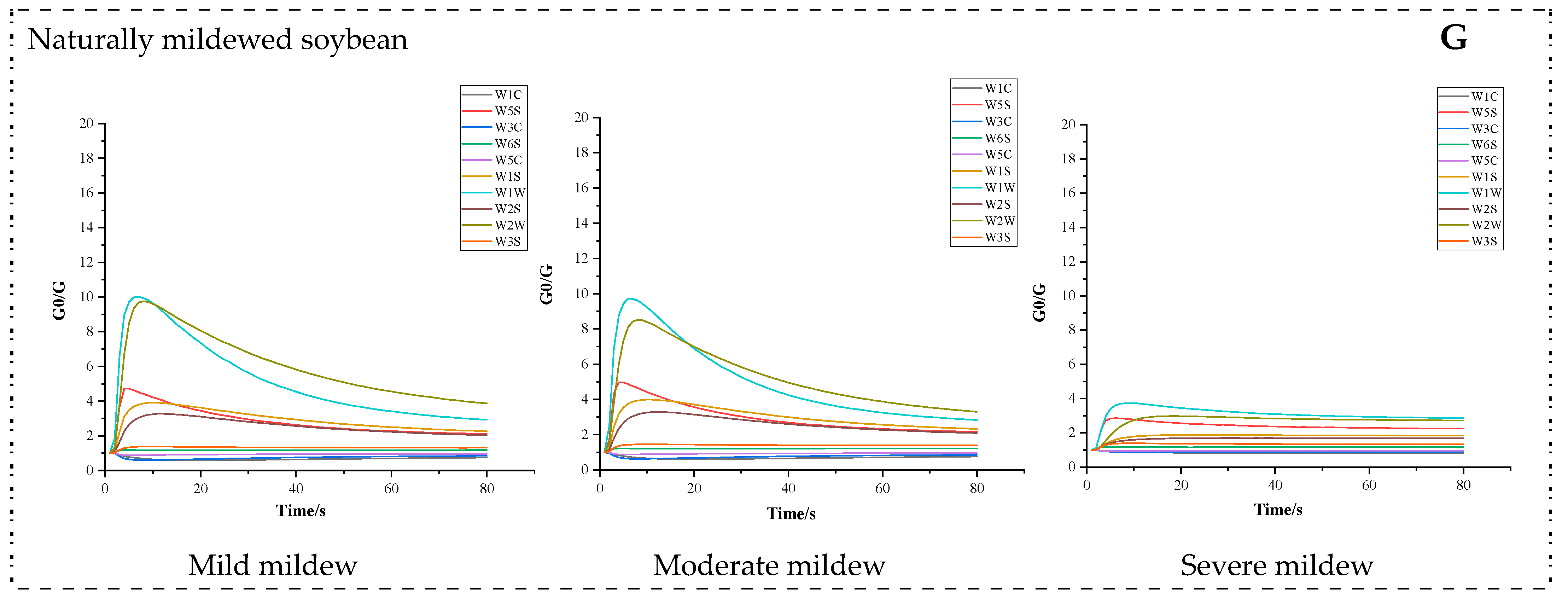 Foods 13 04064 g001c