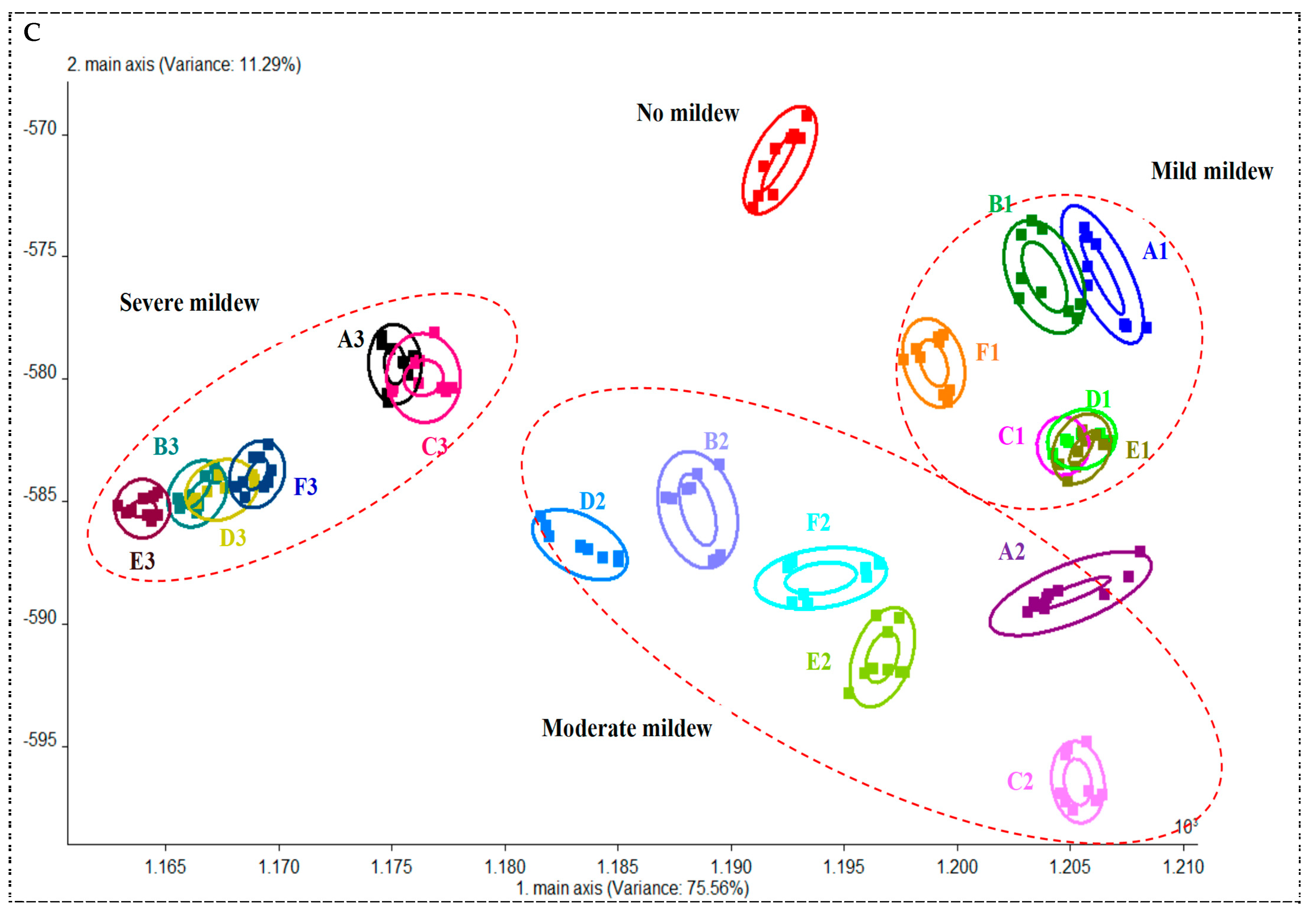 Foods 13 04064 g003c