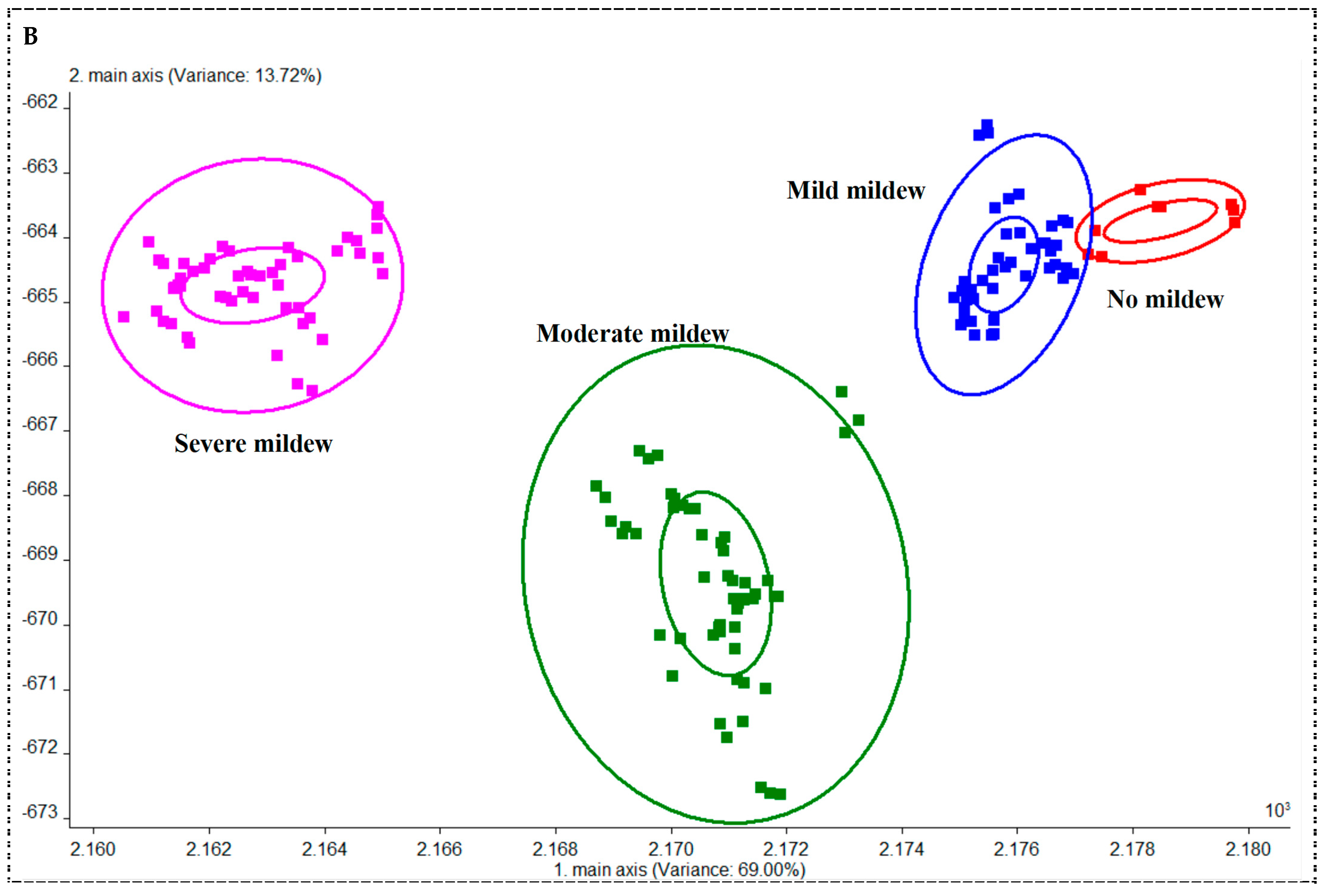 Foods 13 04064 g004b