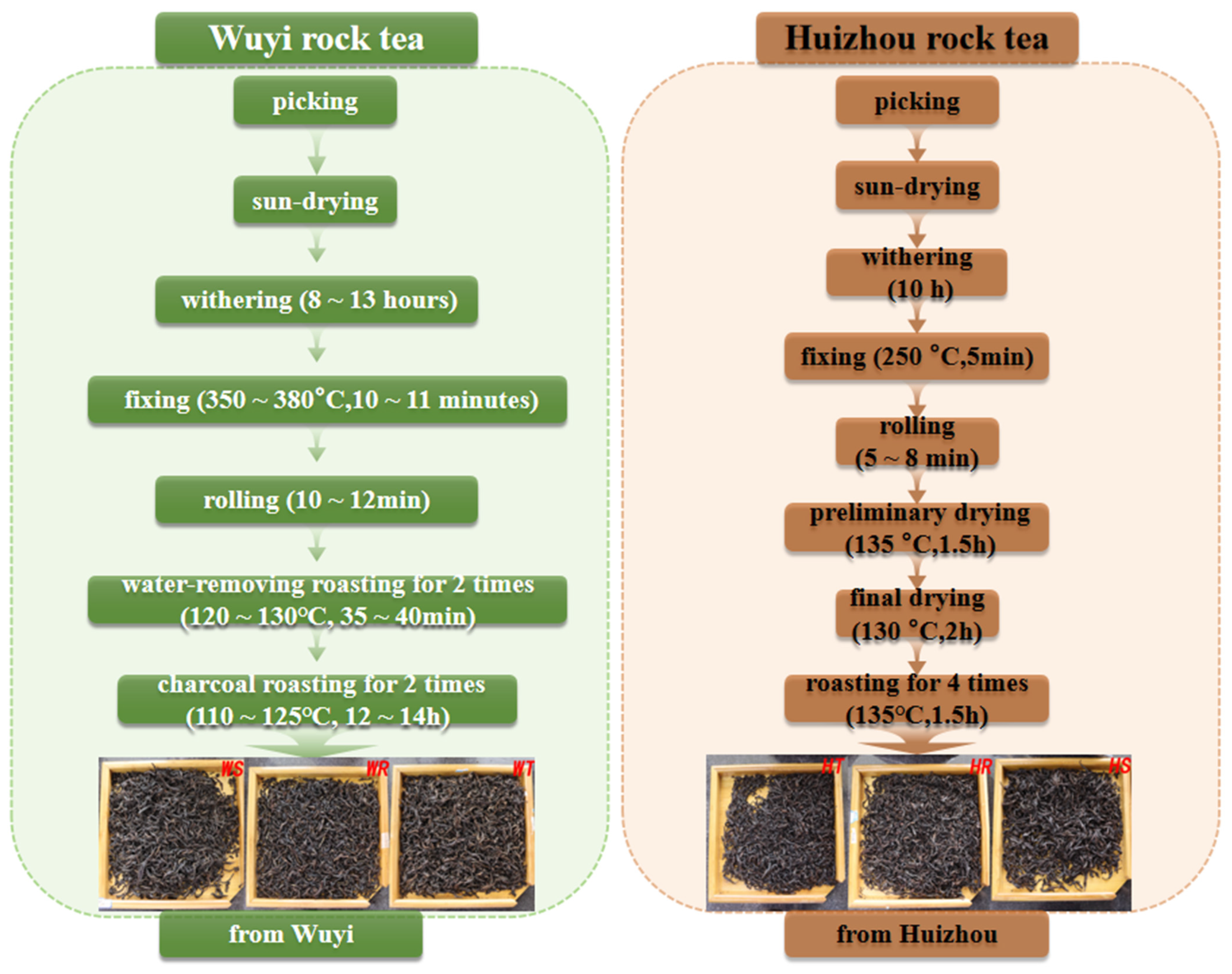 Foods 14 00004 g001