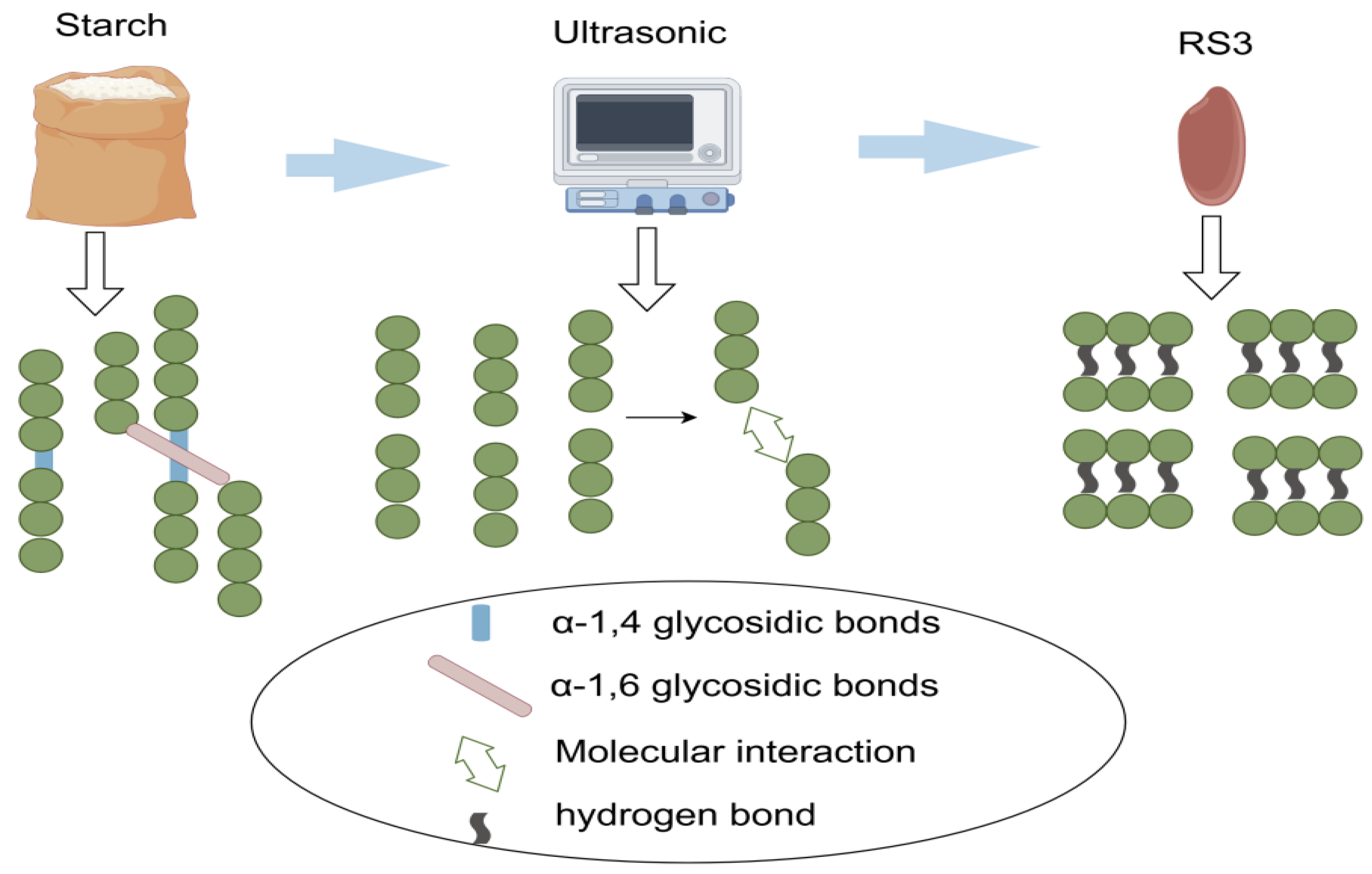 Foods 14 00471 g002 Foods 14 00471 g002