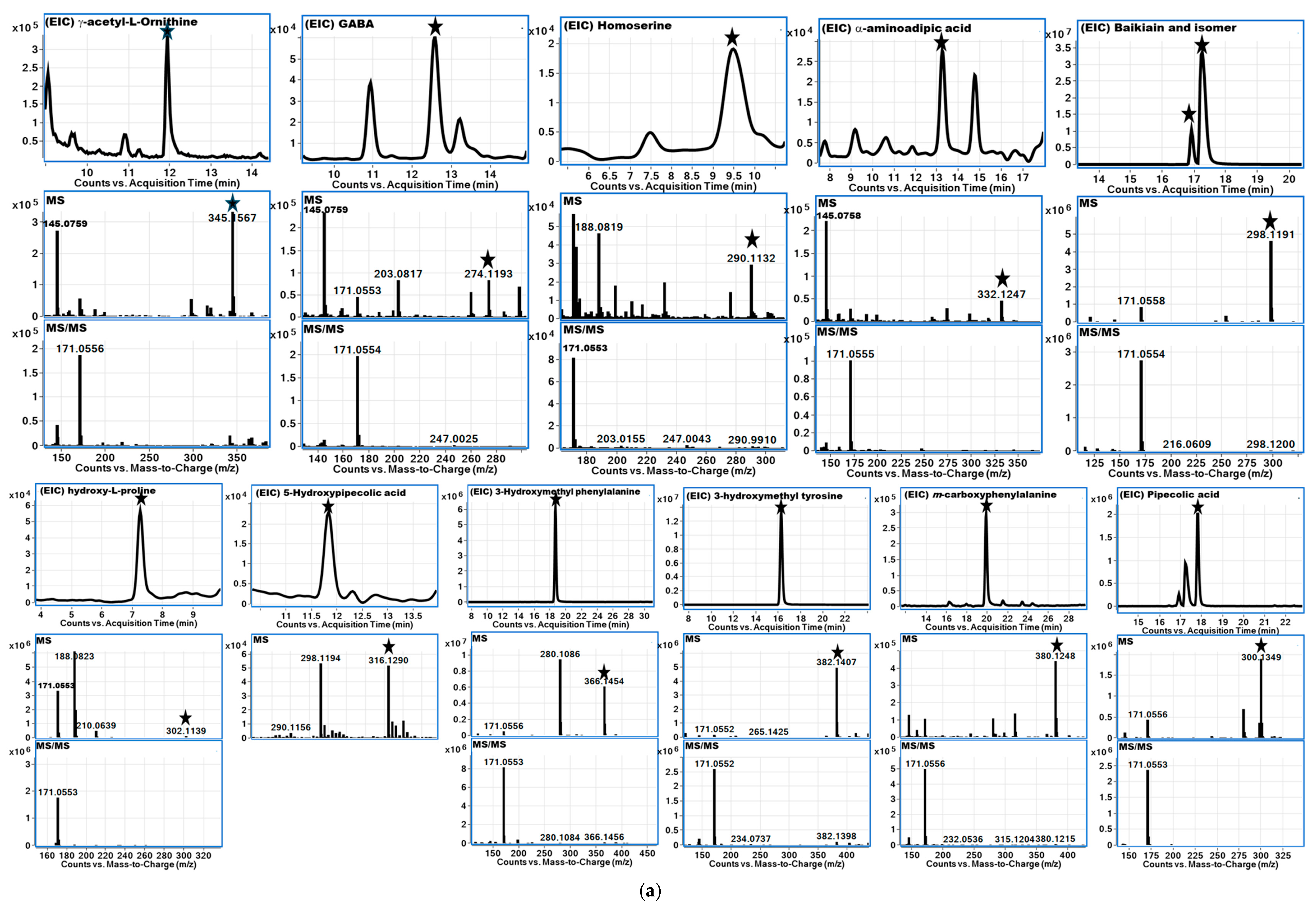 Foods 14 00611 g005a