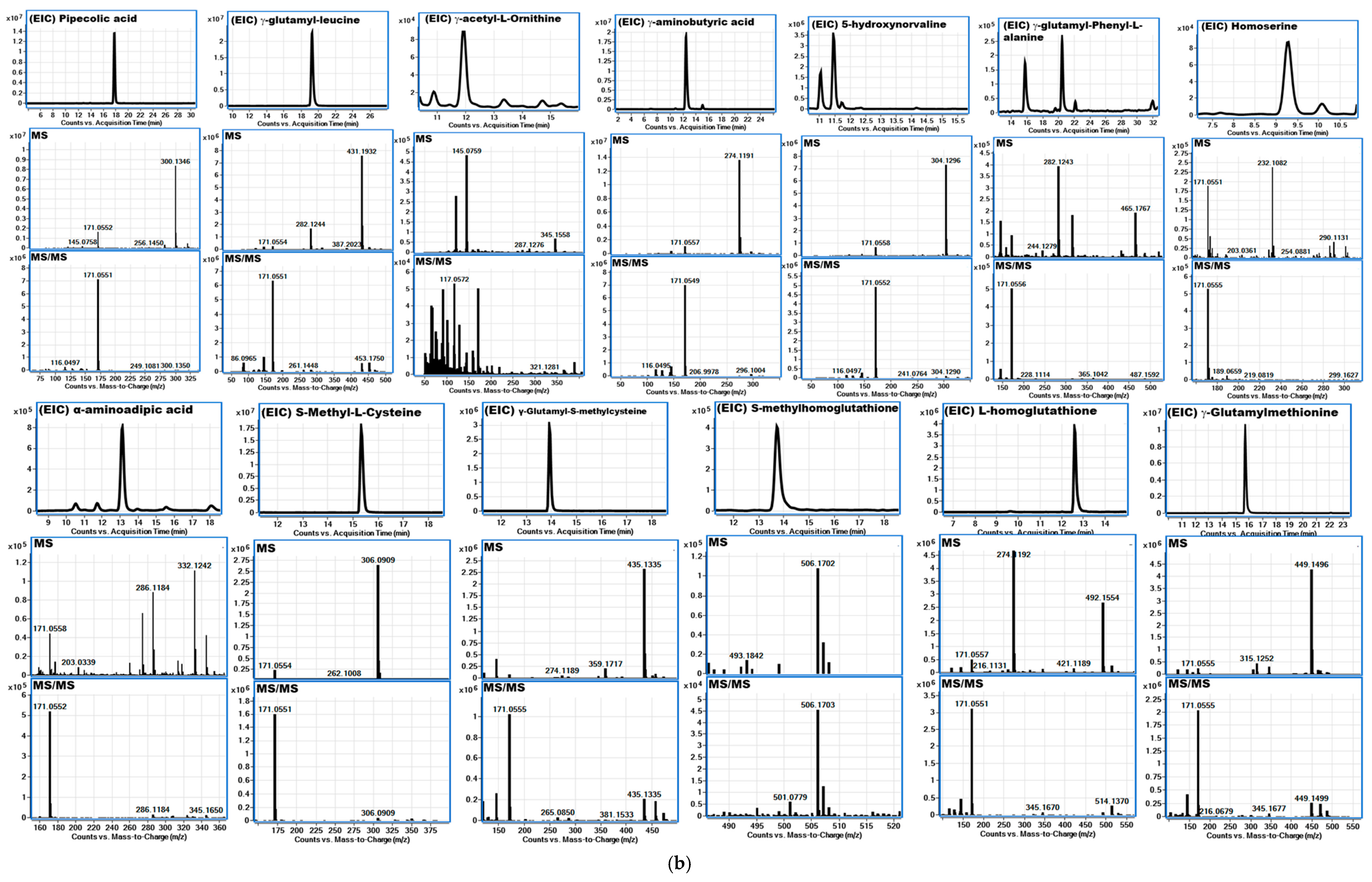 Foods 14 00611 g005b
