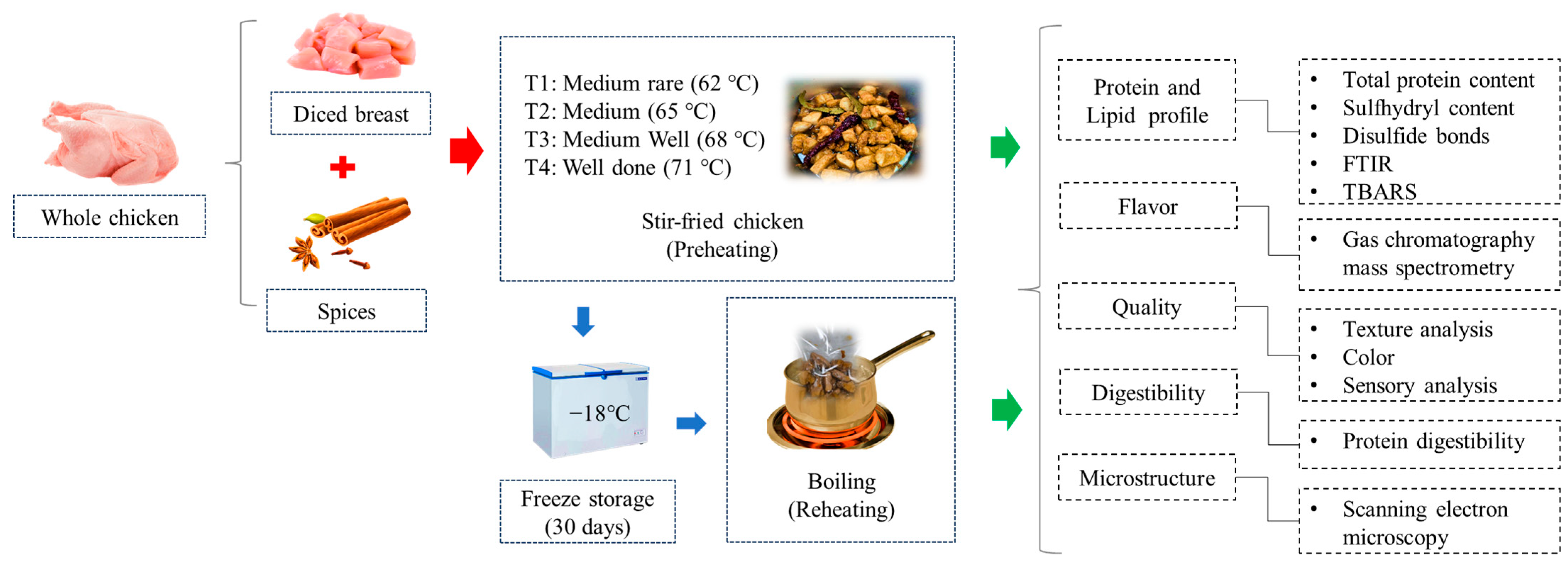 Foods 14 00643 g001 Foods 14 00643 g001