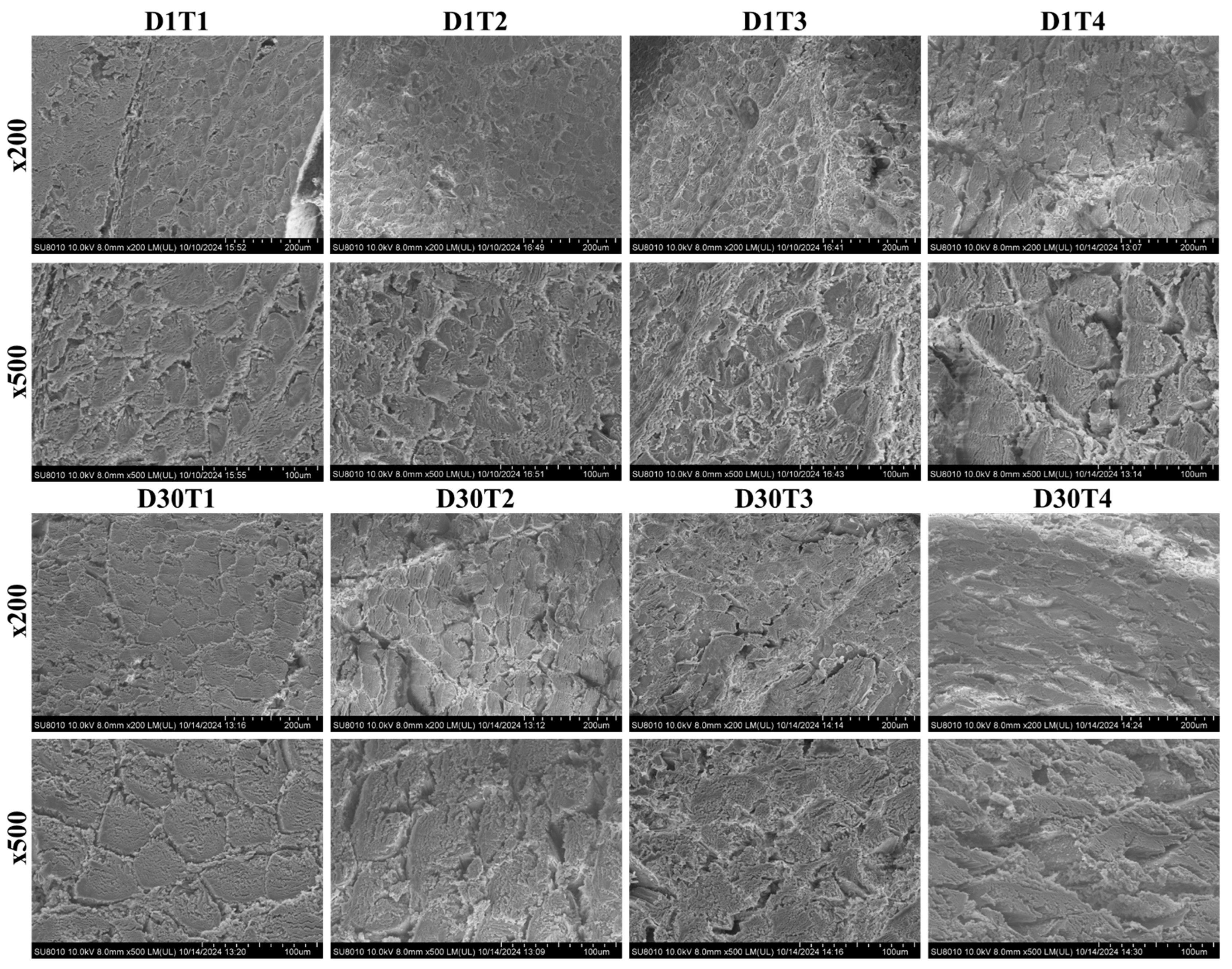 Foods 14 00643 g007 Foods 14 00643 g007