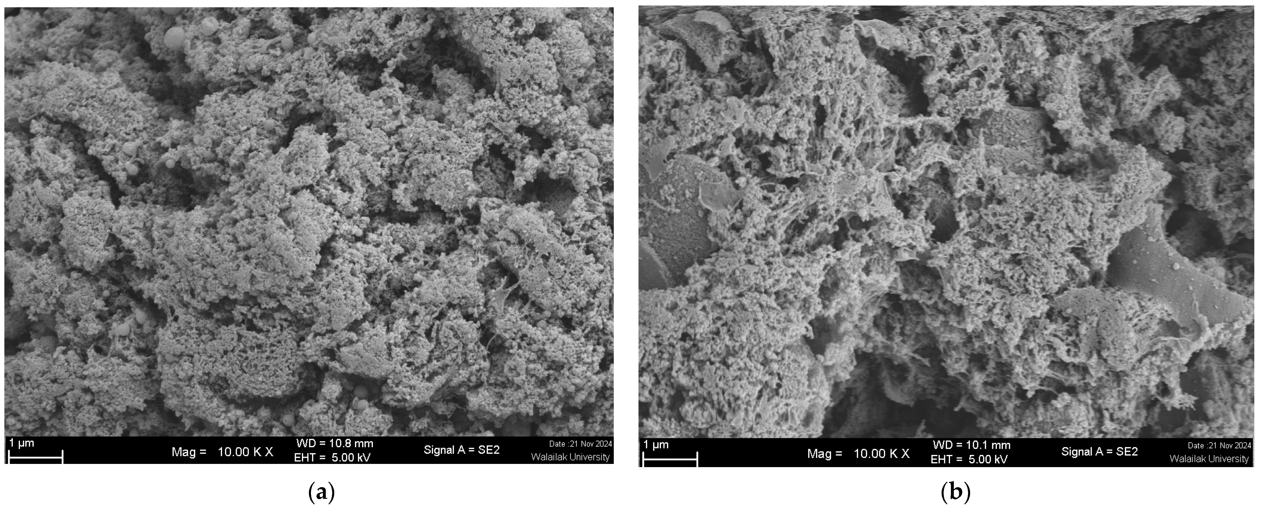 Foods 14 00645 g004a