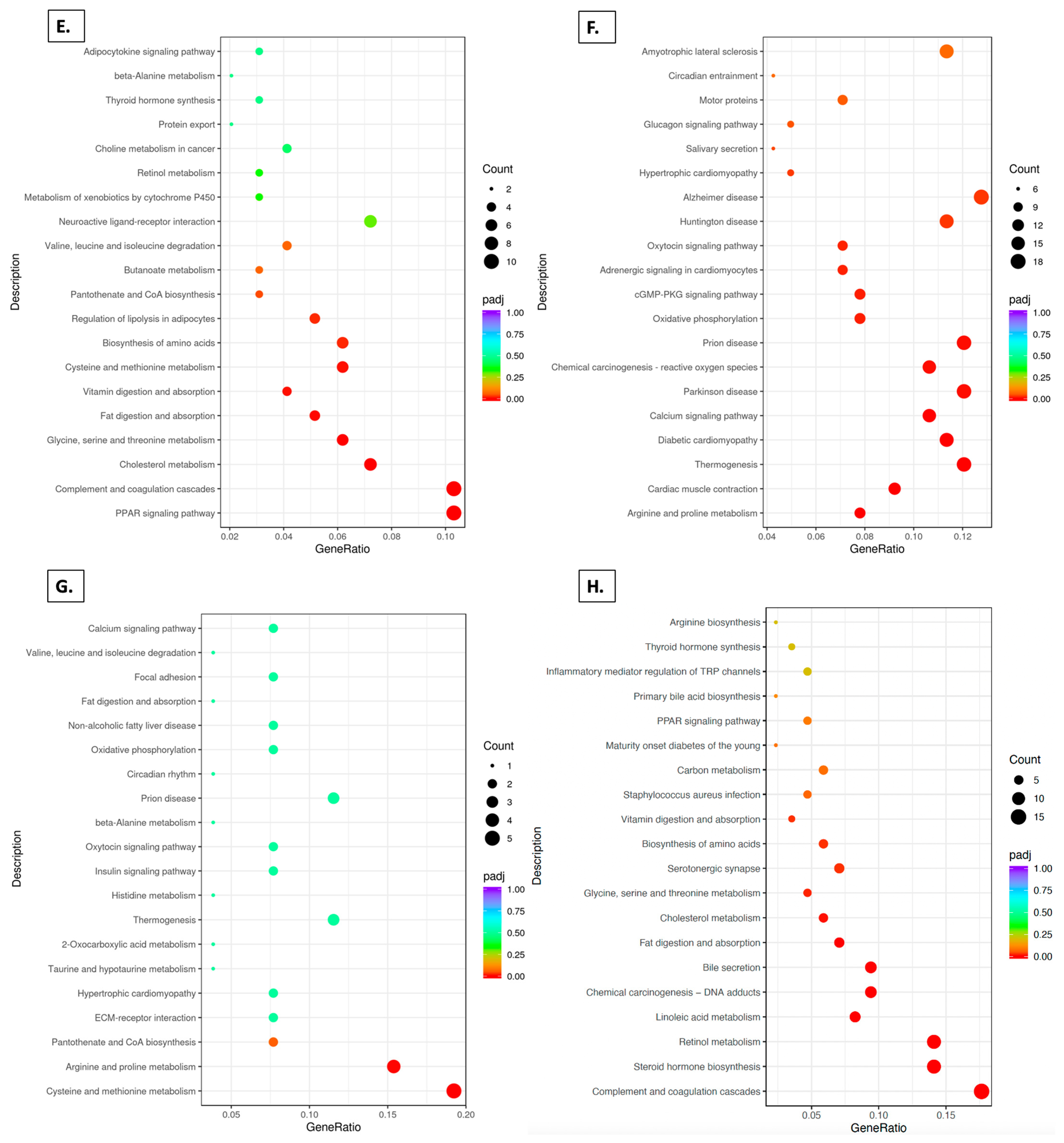 Foods 14 00695 g007b