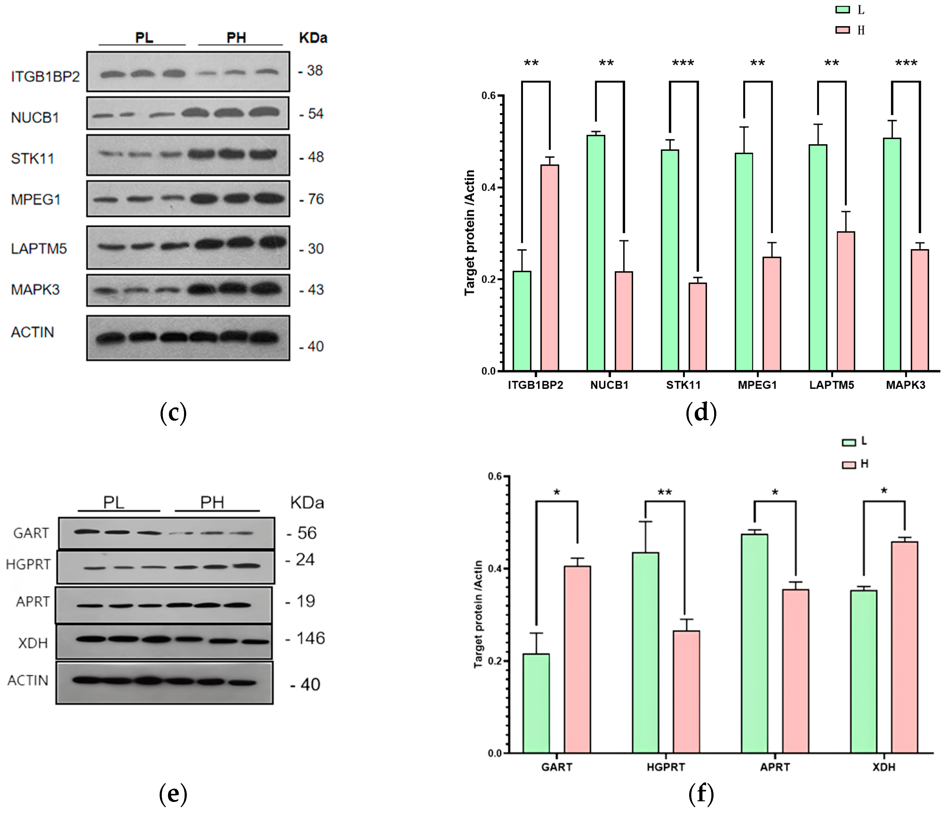 Foods 14 00718 g004b