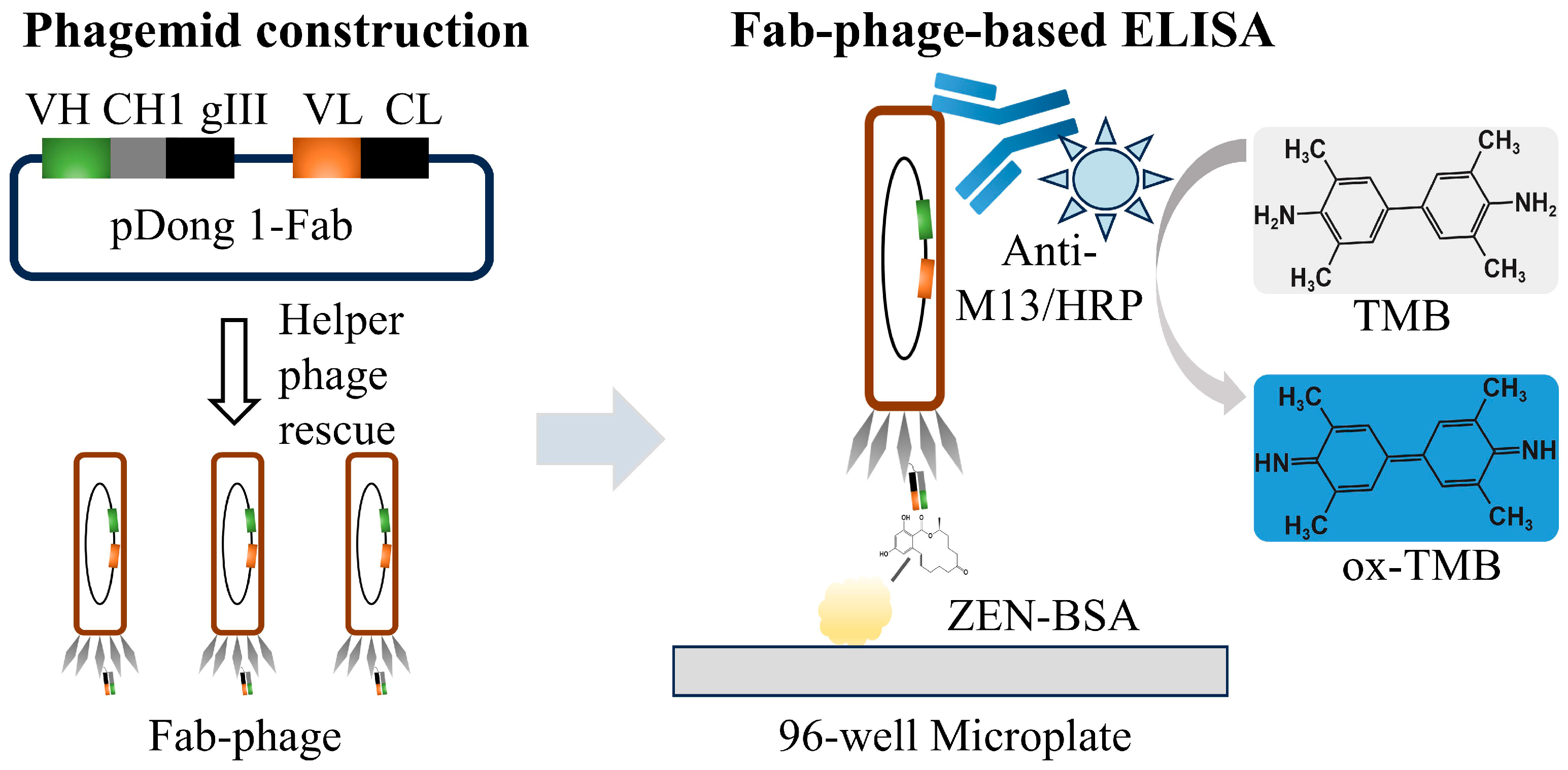 Foods 14 00746 sch001