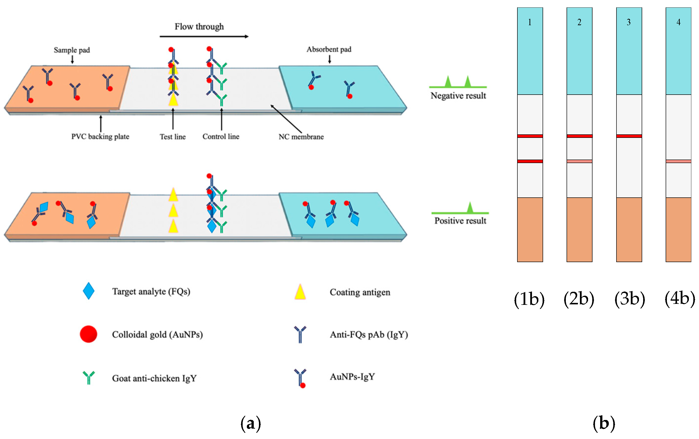 Foods 14 00818 g001 Foods 14 00818 g001