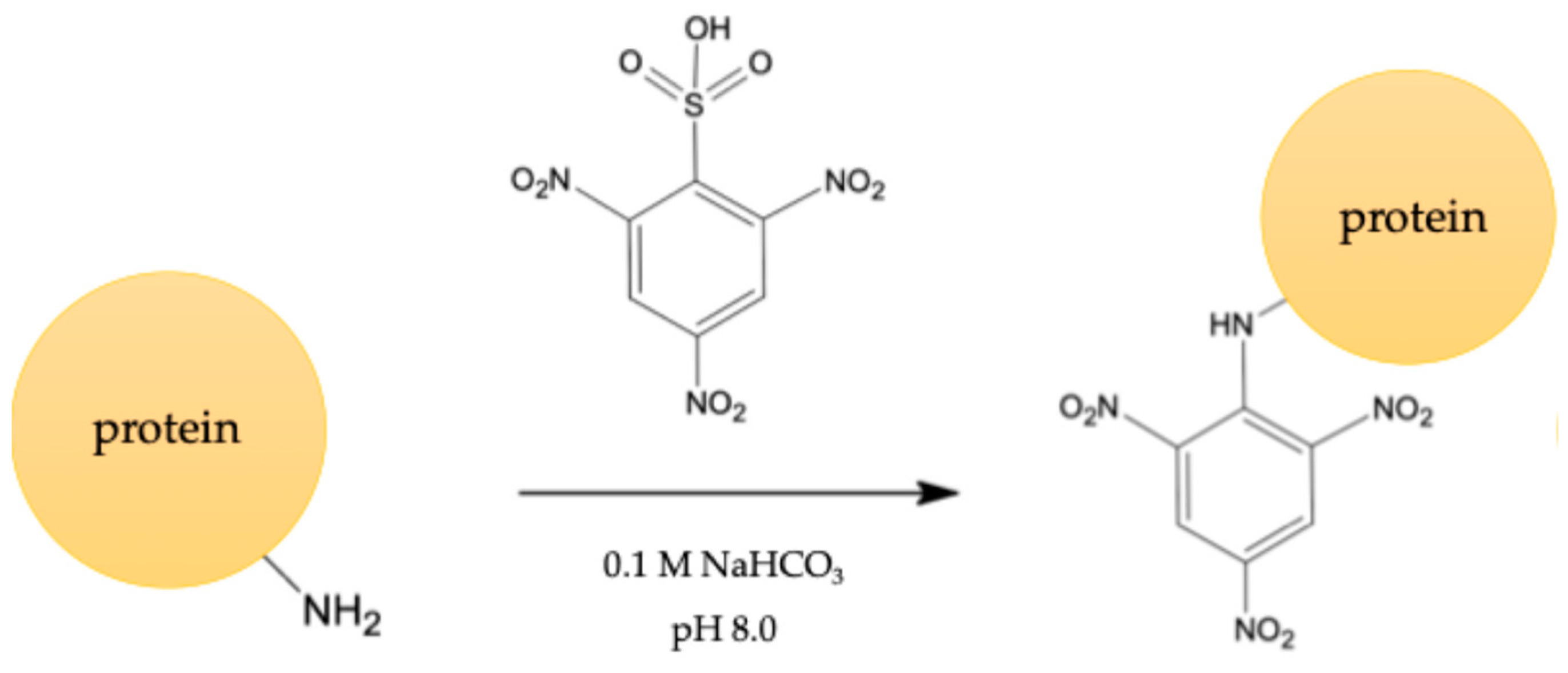 Foods 14 00818 g002 Foods 14 00818 g002