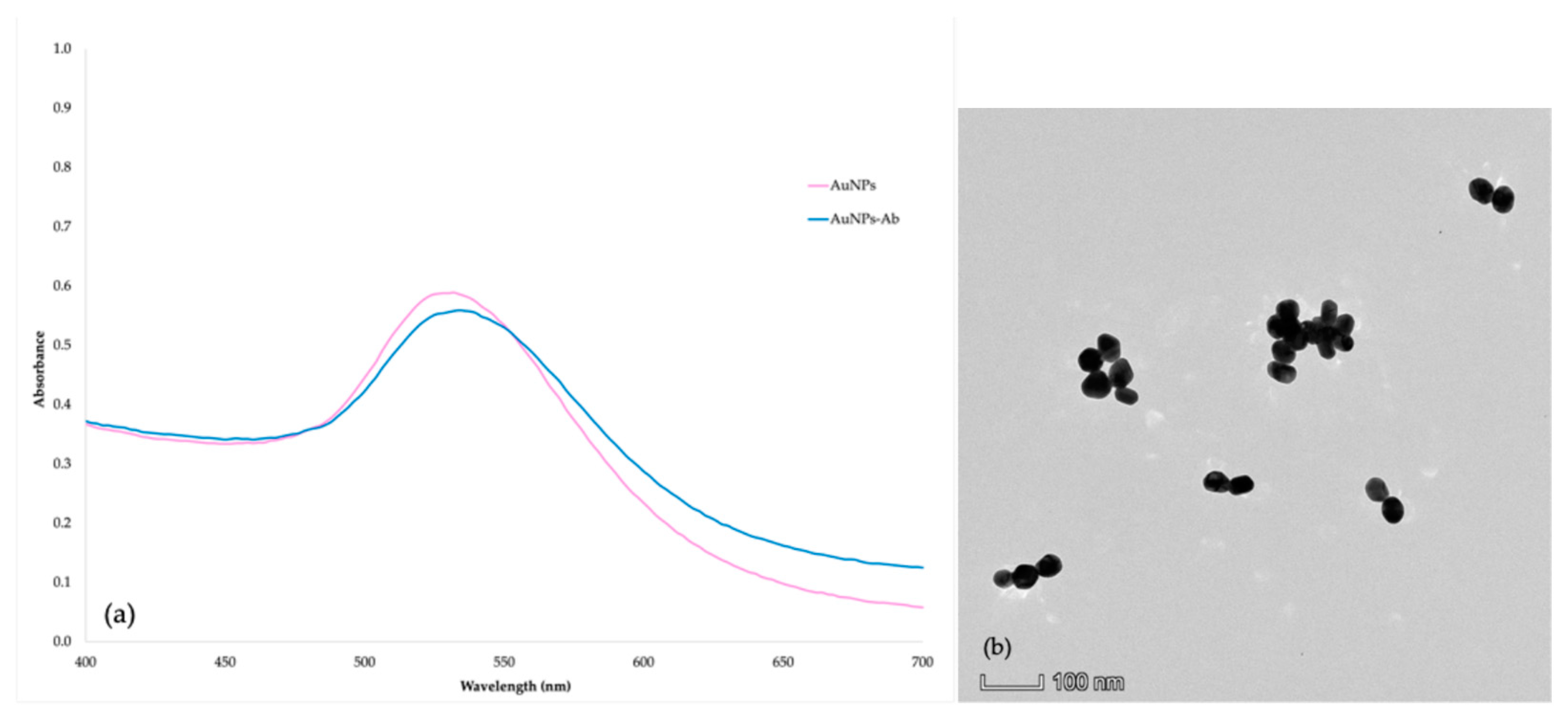 Foods 14 00818 g003 Foods 14 00818 g003