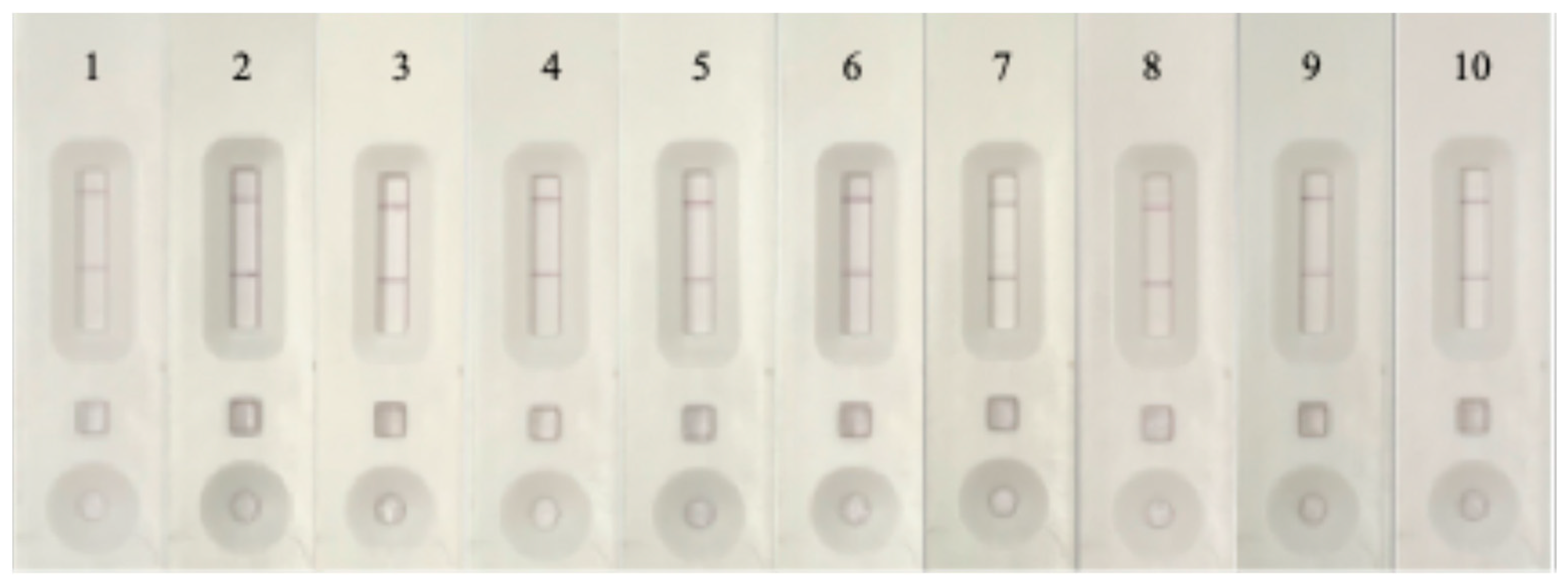 Foods 14 00818 g010 Foods 14 00818 g010