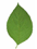Foods 14 00911 i002