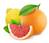 Foods 14 00911 i006