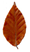 Foods 14 00911 i017
