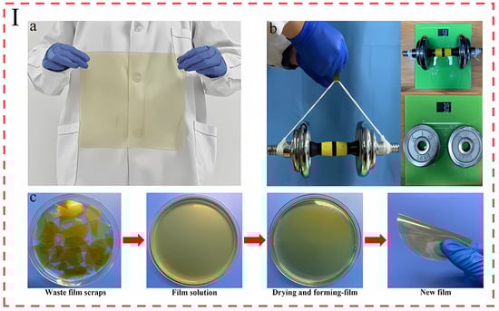 Foods 14 01661 g008a