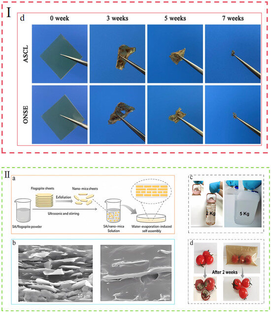 Foods 14 01661 g008b