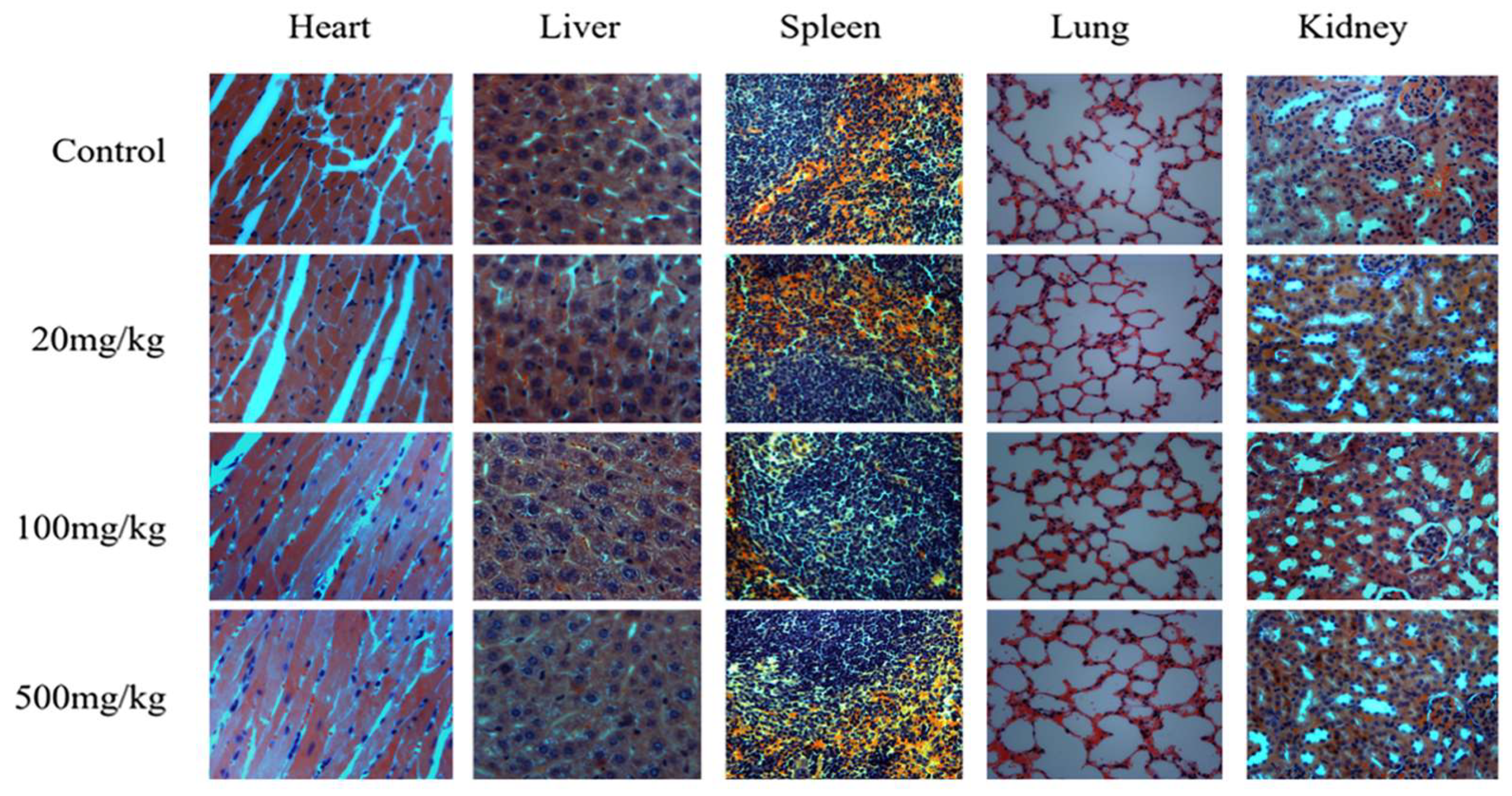 Foods 14 01890 g002 Foods 14 01890 g002