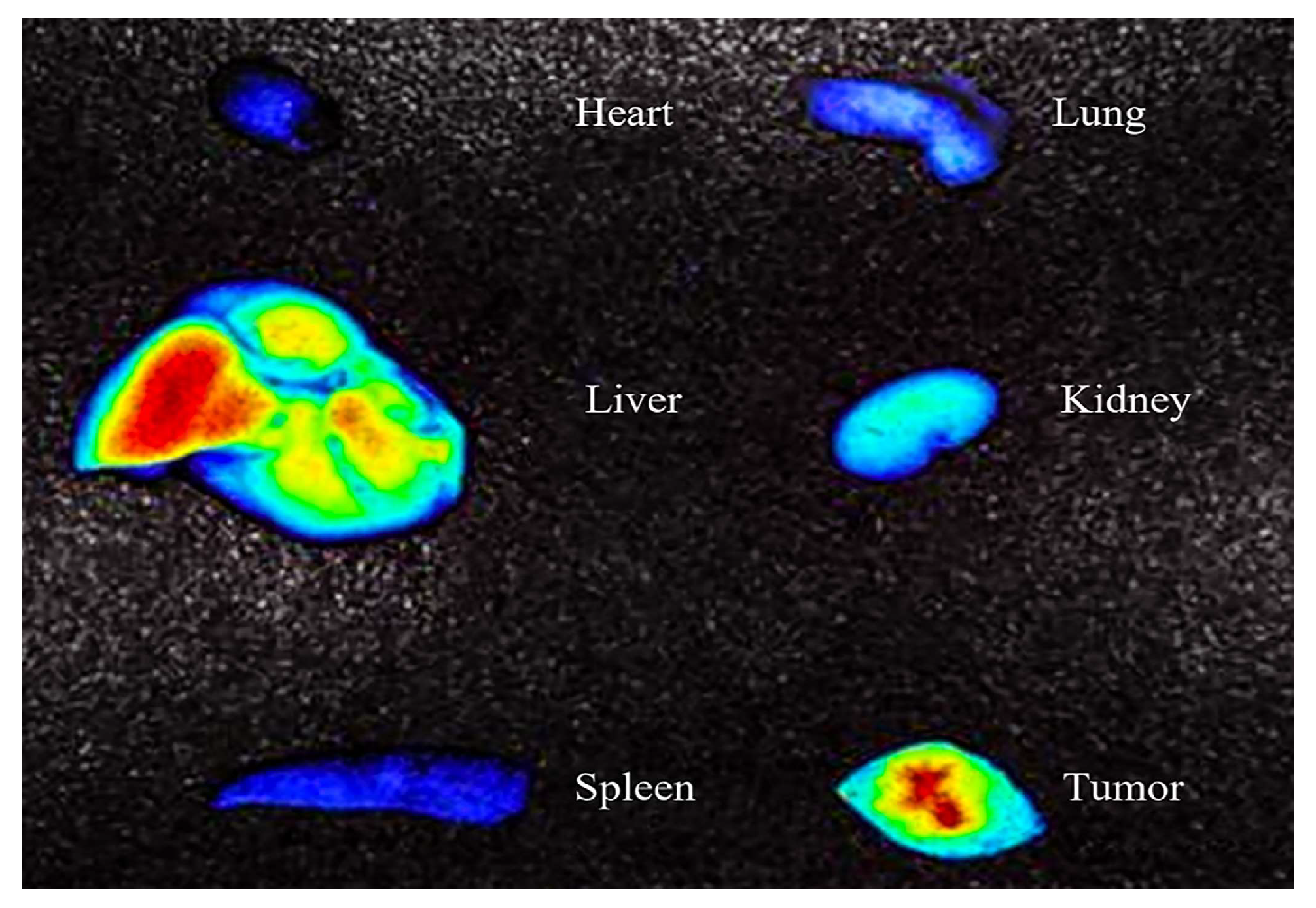 Foods 14 01890 g011 Foods 14 01890 g011