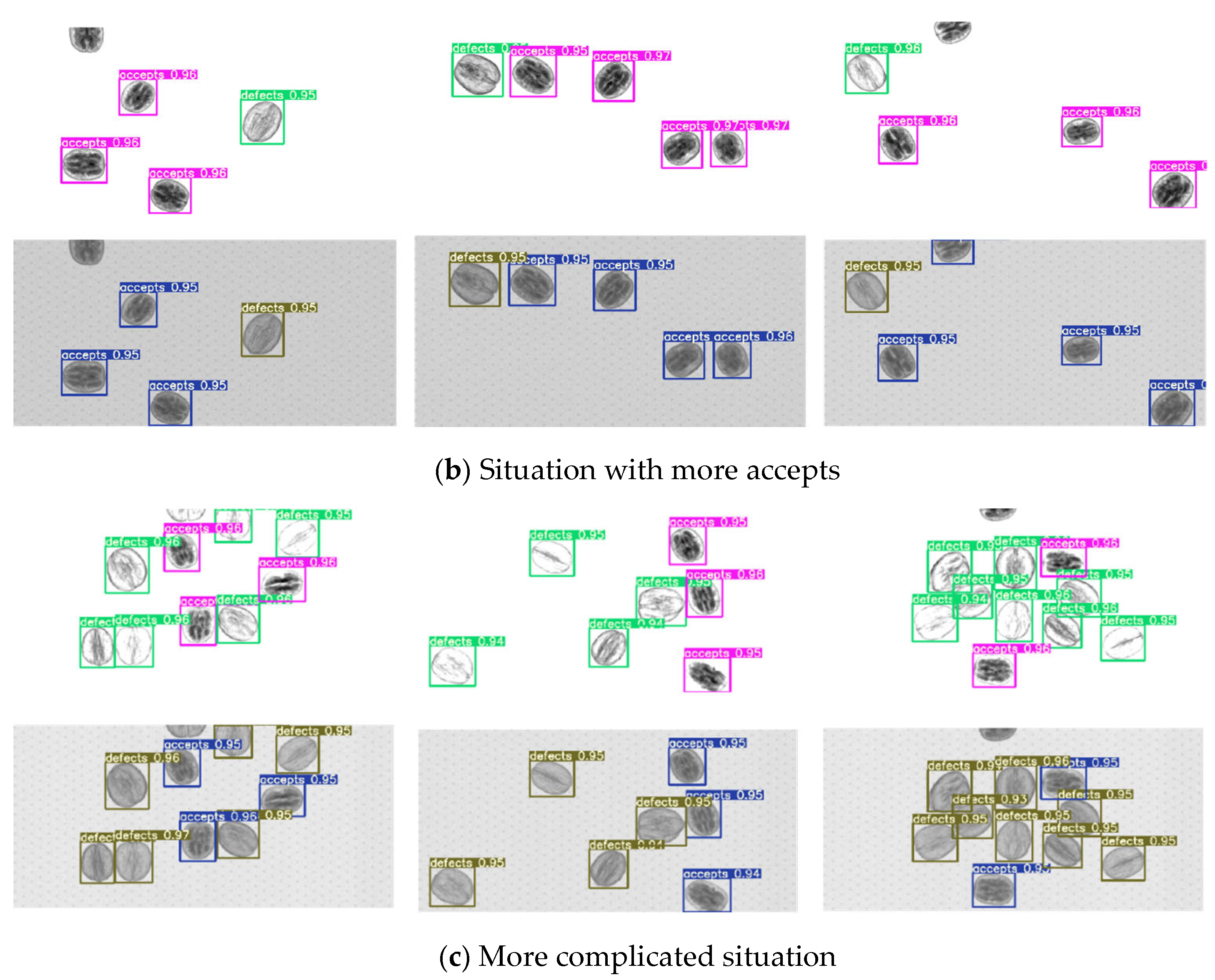 Foods 14 02346 g010b
