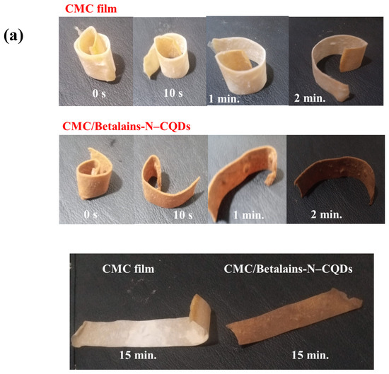 Foods 14 02791 g003a