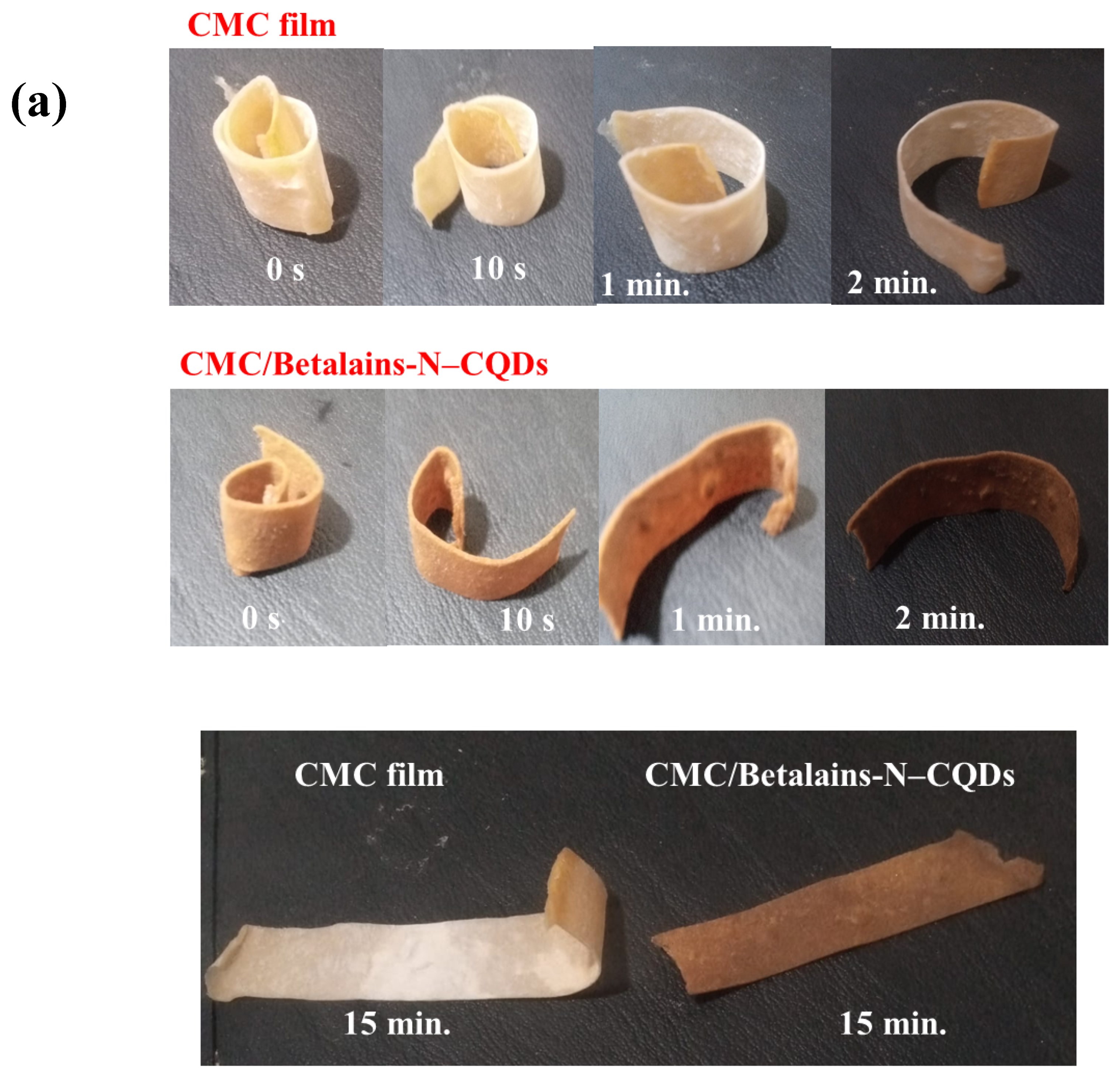 Foods 14 02791 g003a
