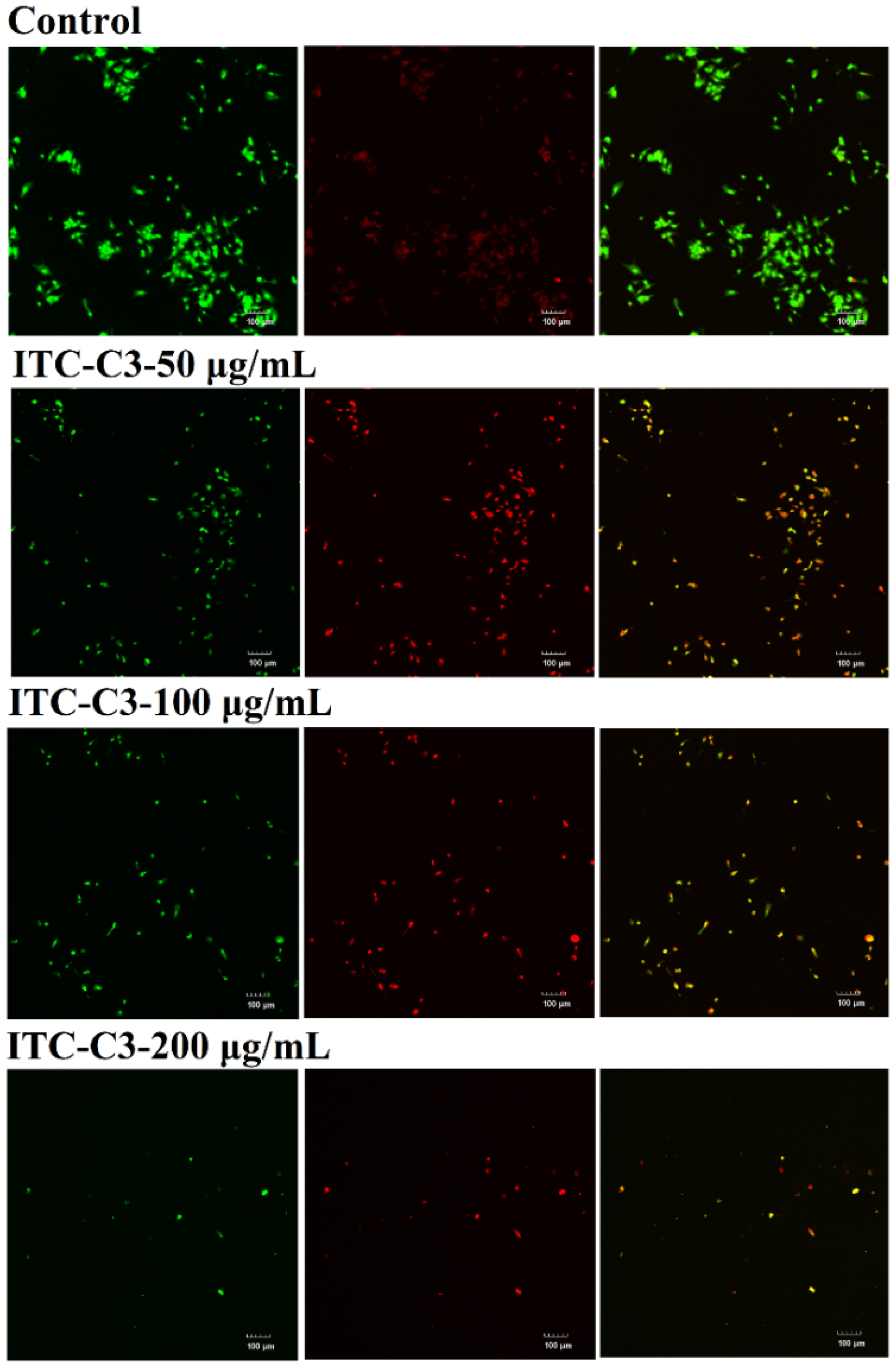 Foods 14 02808 g005 Foods 14 02808 g005