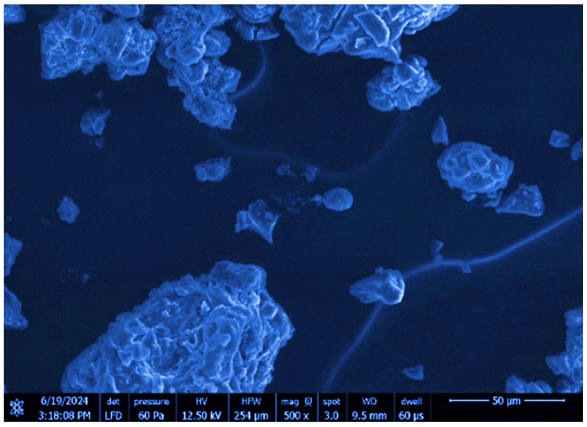 Foods 14 02811 g002 Foods 14 02811 g002